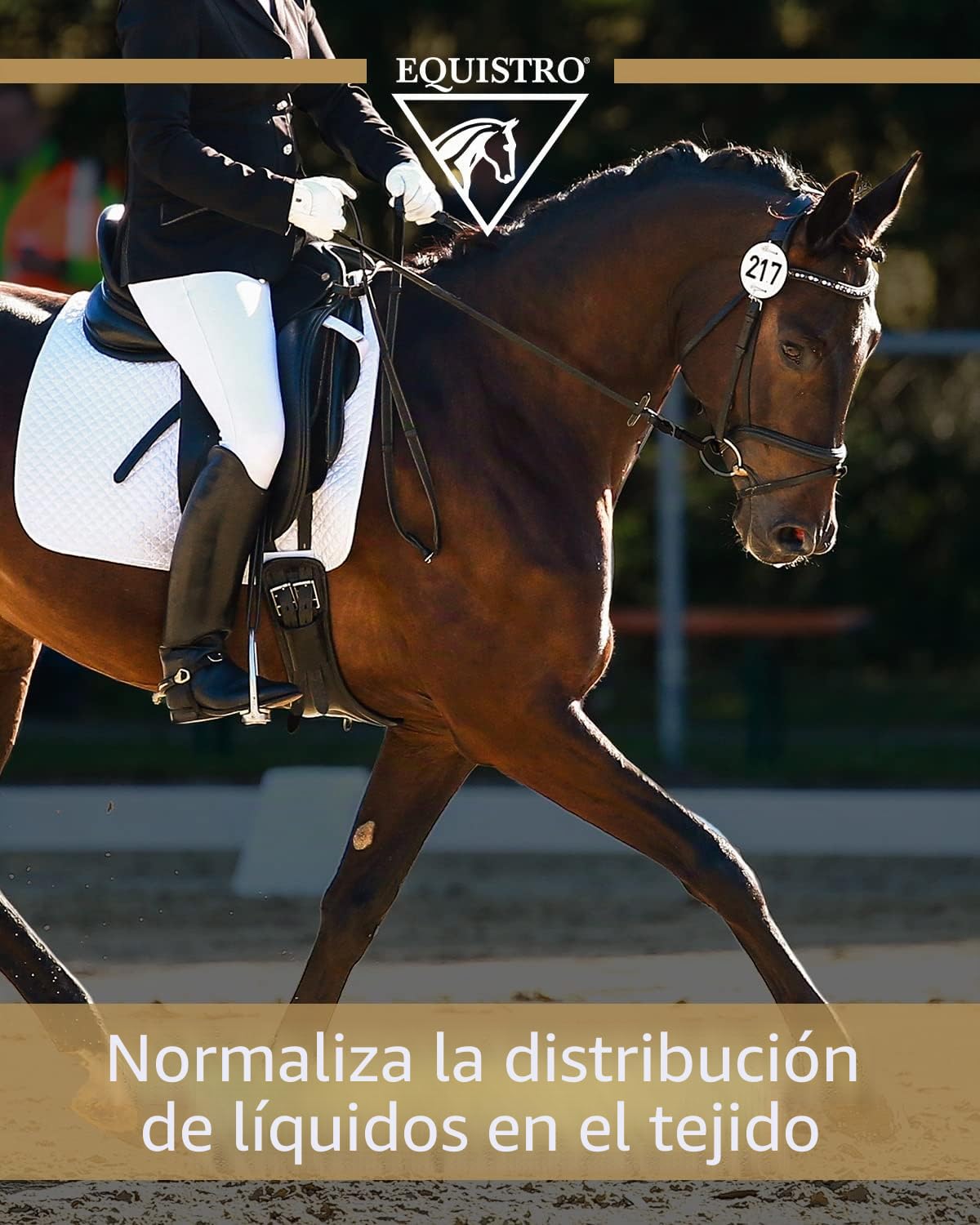 EQUISTRO® Pasta de percutina, Producto de Cuidado para Caballos con Arcilla, árnica y mentol, normaliza la distribución de líquidos en los Tejidos, Especialmente beneficiosa, 2000 g