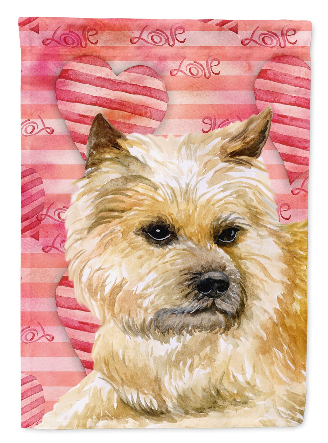 Drapeau Cairn Terrier BB9777CHF pour maison en toile multicolore grand format Caroline's Treasures