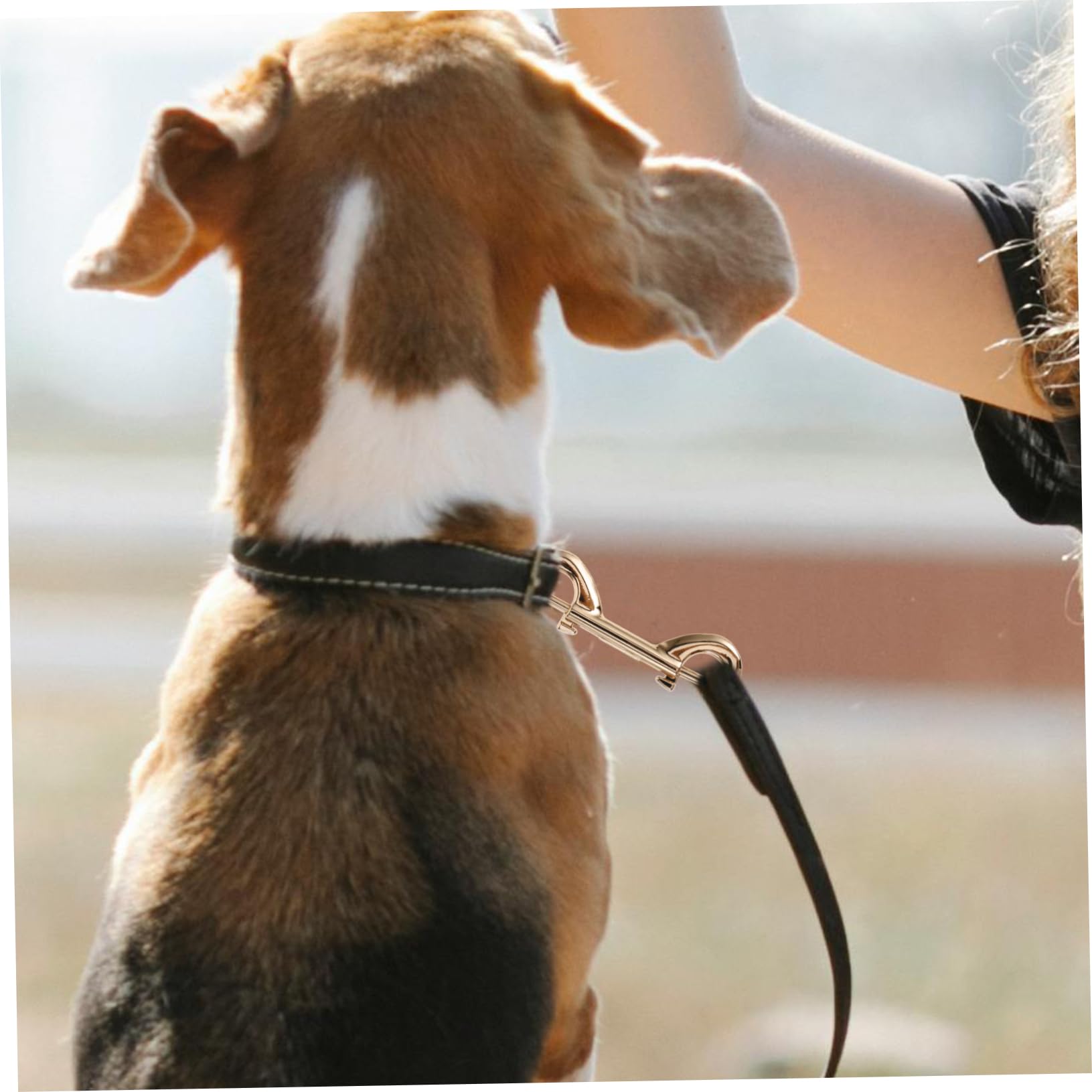 OSALADI Heavy Duty Dog Leash Double Clip Leash Metal Snap Hooks Pet Supplies DIY Projects