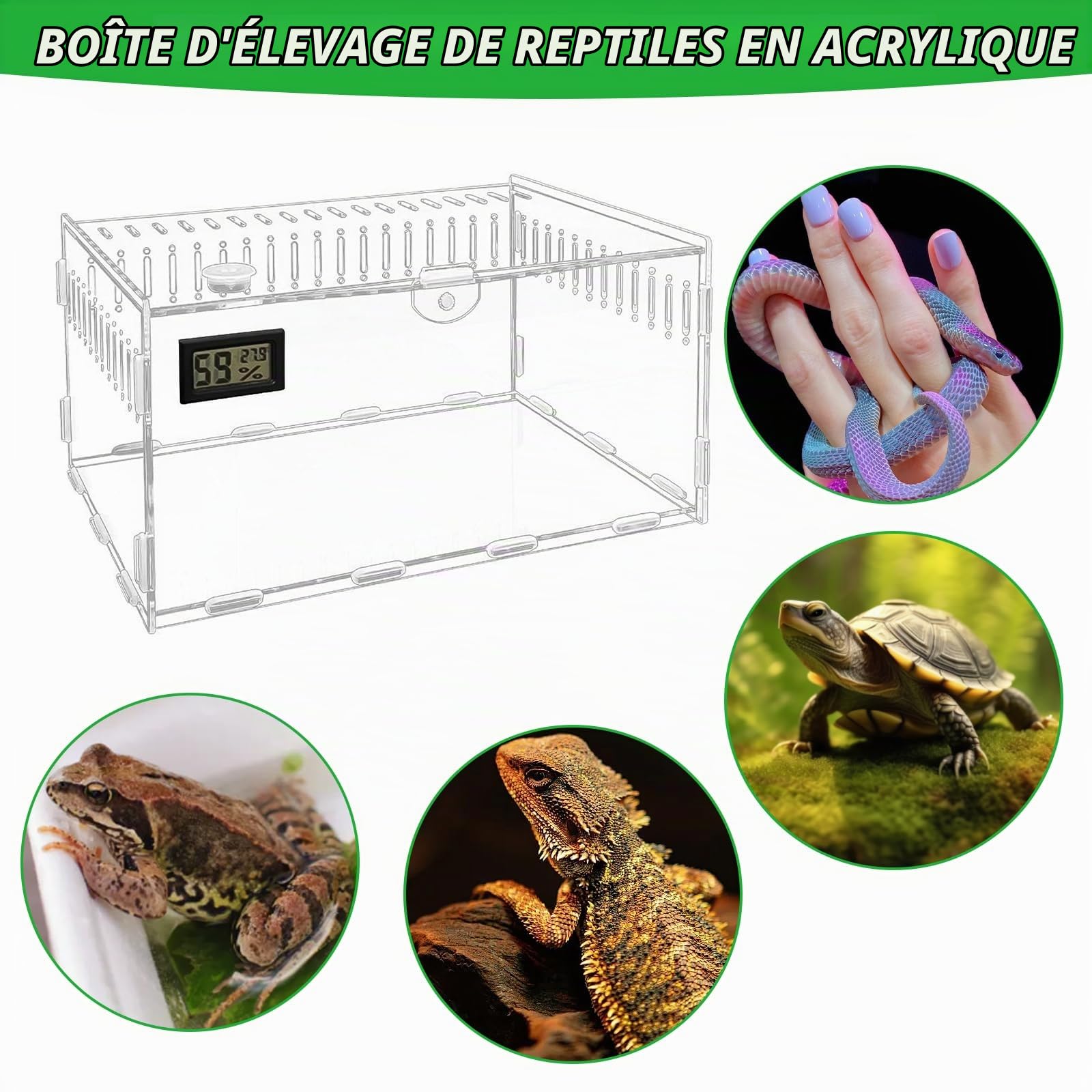 PORFOYO Terrarium à Escargots, 30 x 20 x 15 cm, Acrylique, Hygromètre de Température, pour Lézard, Araignée, Grenouille, Scarabée, Gecko, Tortue