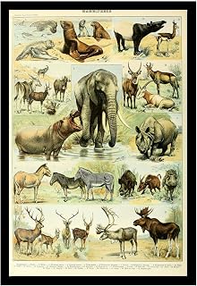 Canvas Painting Wall Mural Print Vintage Adolphe Millot Animal Poster Mammiferes Elephant Canvas Painting Wall Art Modern Home and Bedroom Decoration 8x12inch Solid wood