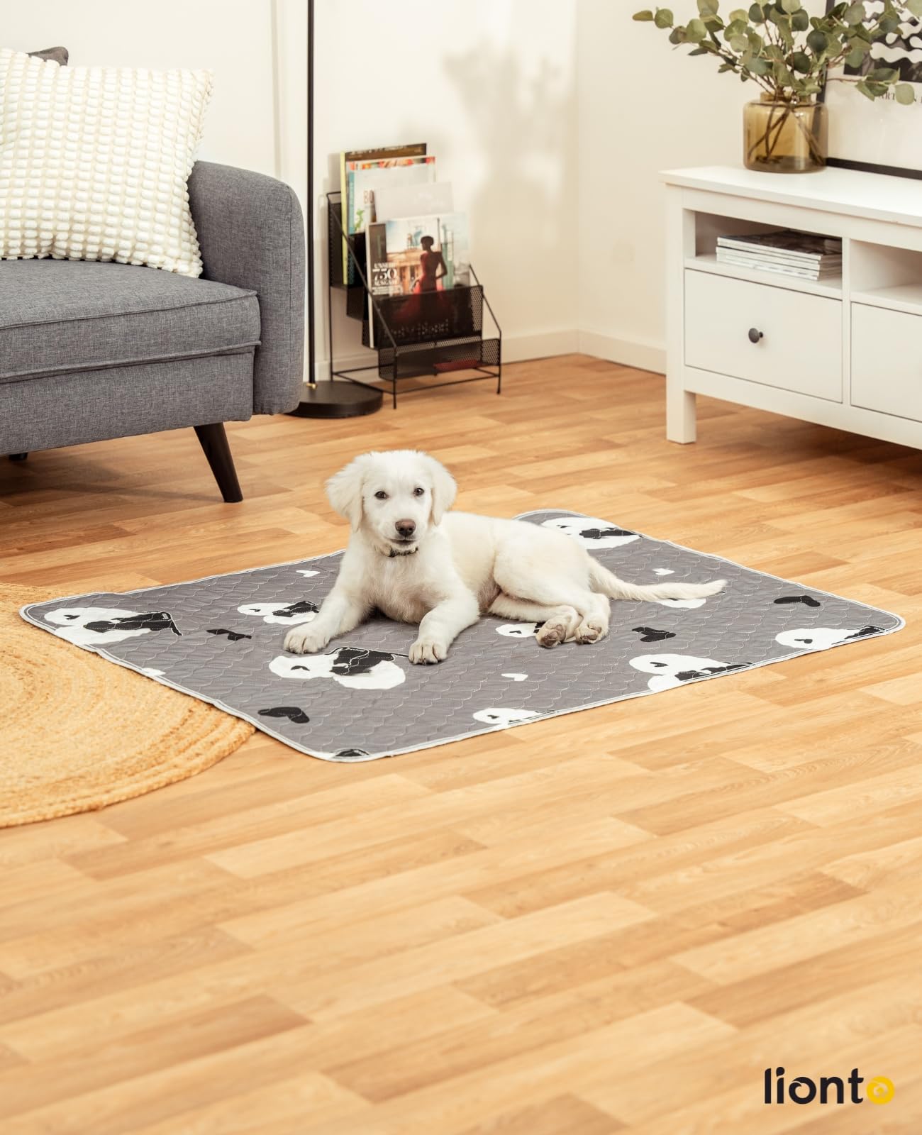 lionto Tapis pour Chiots réutilisables, Lot de 2, 122x91 cm, lavables jusqu'à 90°, Ultra absorbants pour la propreté, Tapis d'entraînement antidérapants pour Chiens âgés, 4 Couches, écologiques, Gris