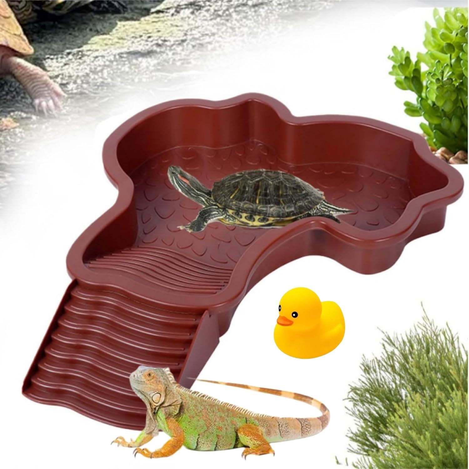 Piscine Tortue Terrestre Mangeoire,Plat d'eau Bassin pour Tortue De Piscine avec Rampe,Bol d'eau pour Reptiles avec Échelle,Abreuvoir pour Tortues Bassin pour Animaux pour Aquarium (Rouge)