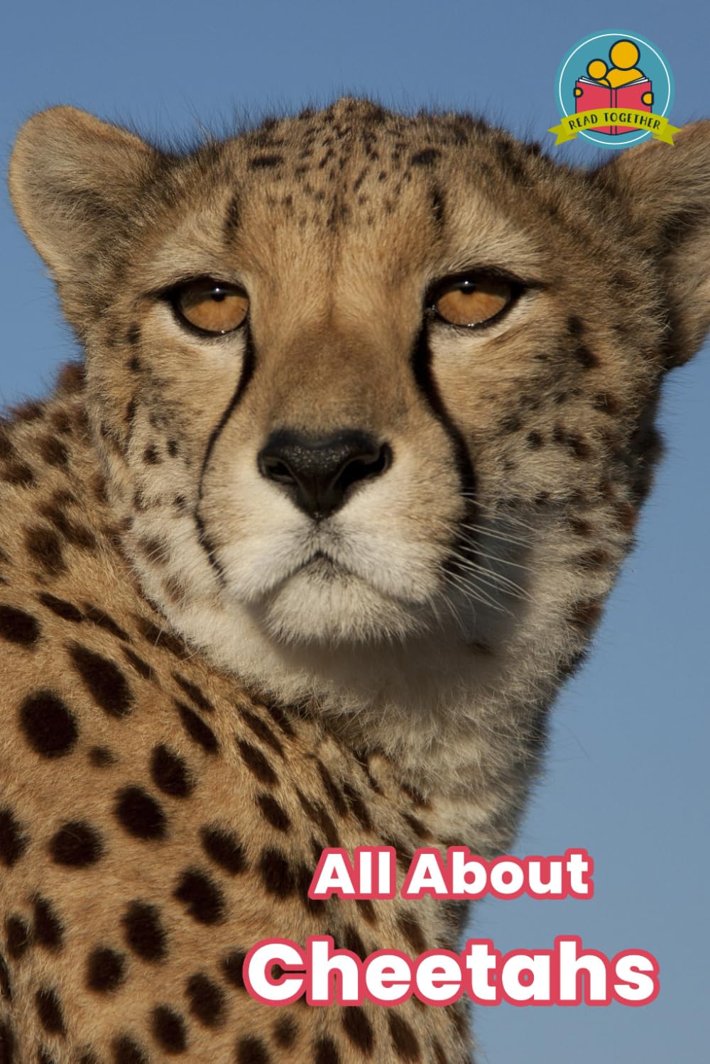 All About Cheetahs (Read Together)