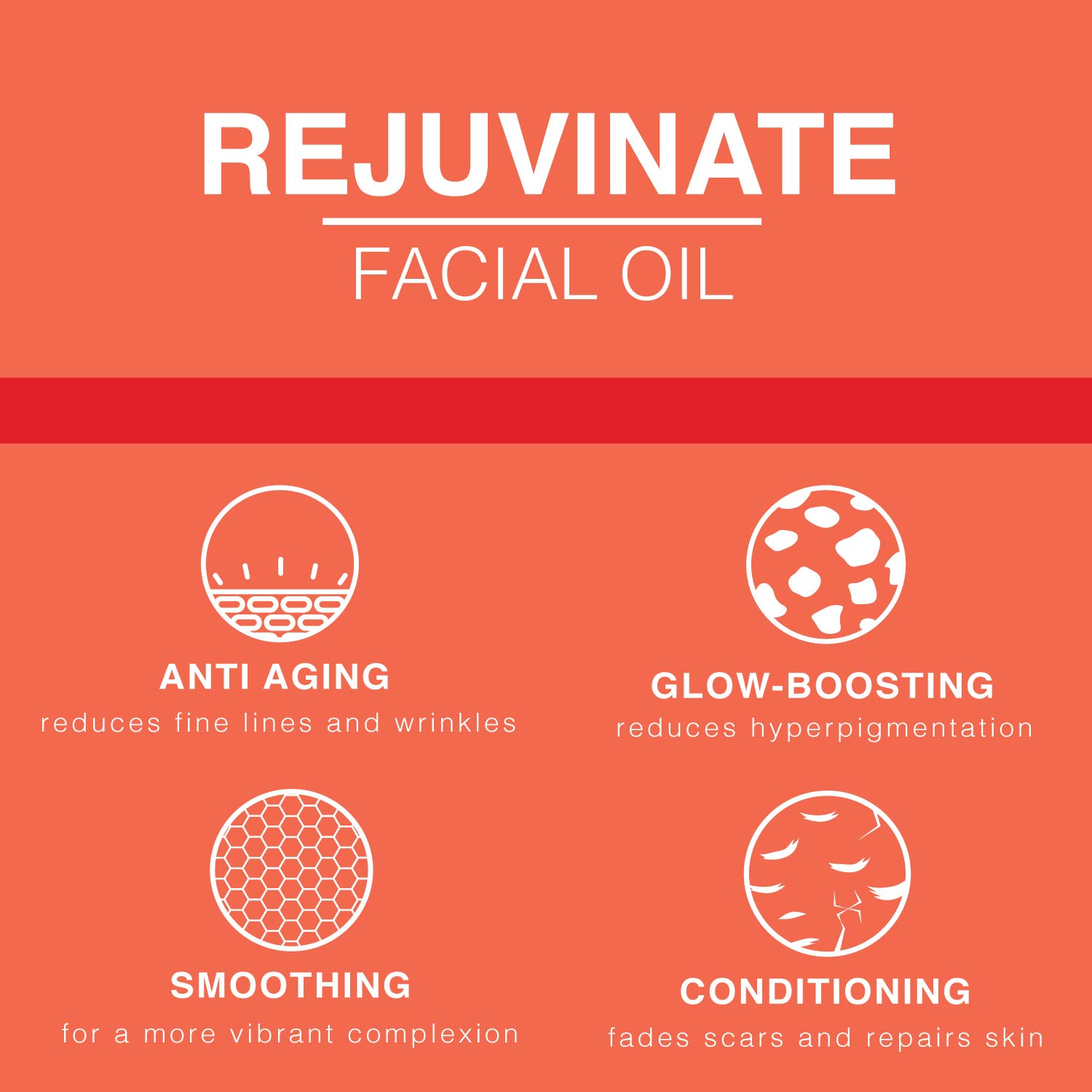 Active Facial Oil - Rejuvenate - Argan & Macadamia Oil - 2 FL OZ | Provence Beauty : Beauty & Personal Care