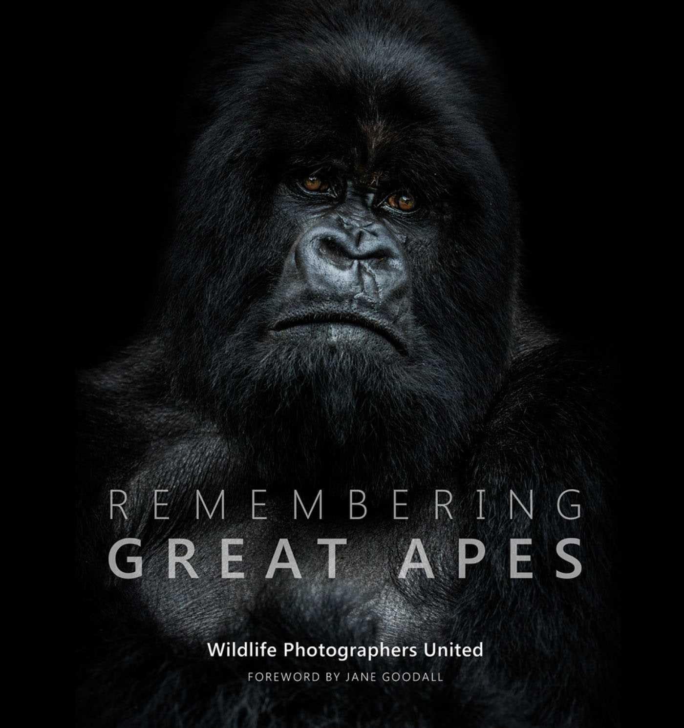 Remembering Great Apes (Hardback Book)
