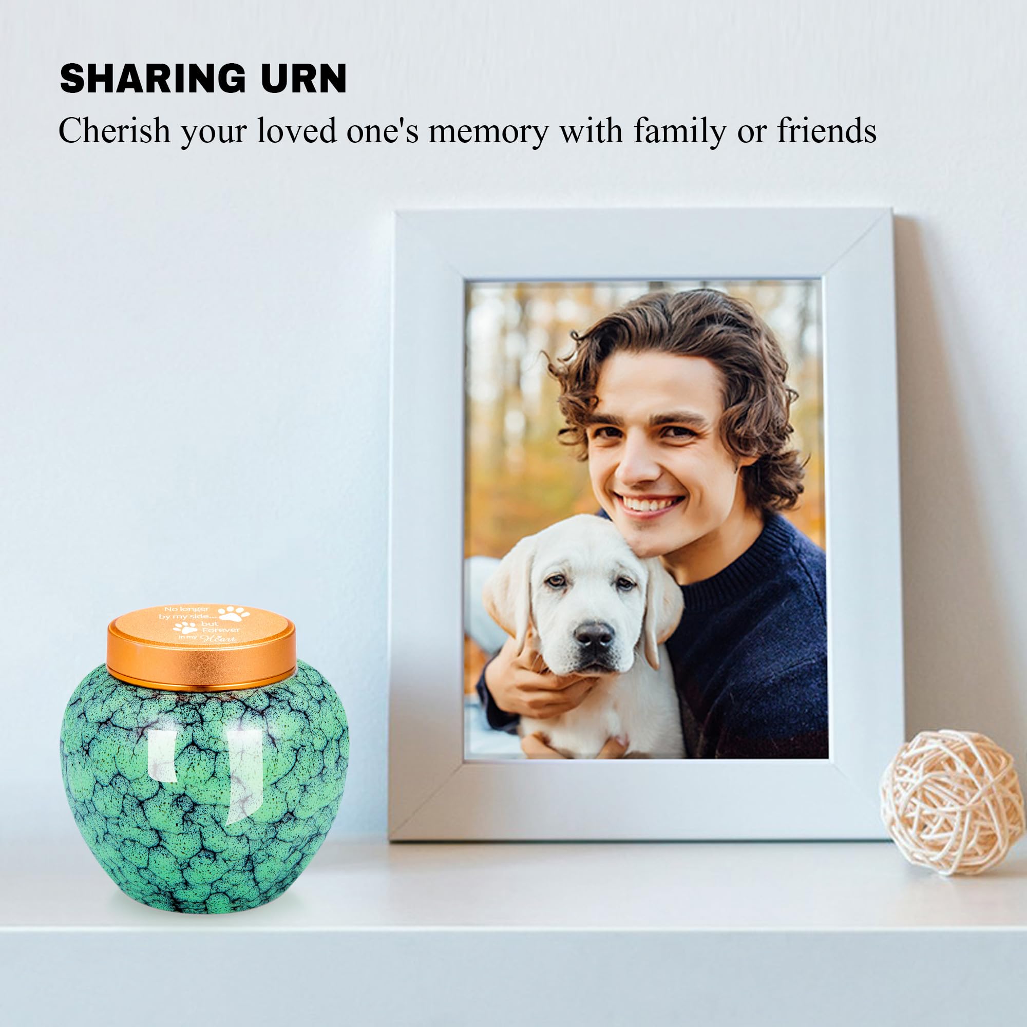 Gredstar Small Keepsake Urns for Ashes, Decorative Funeral Memorial Urn, No Longer by my Side - Image 4