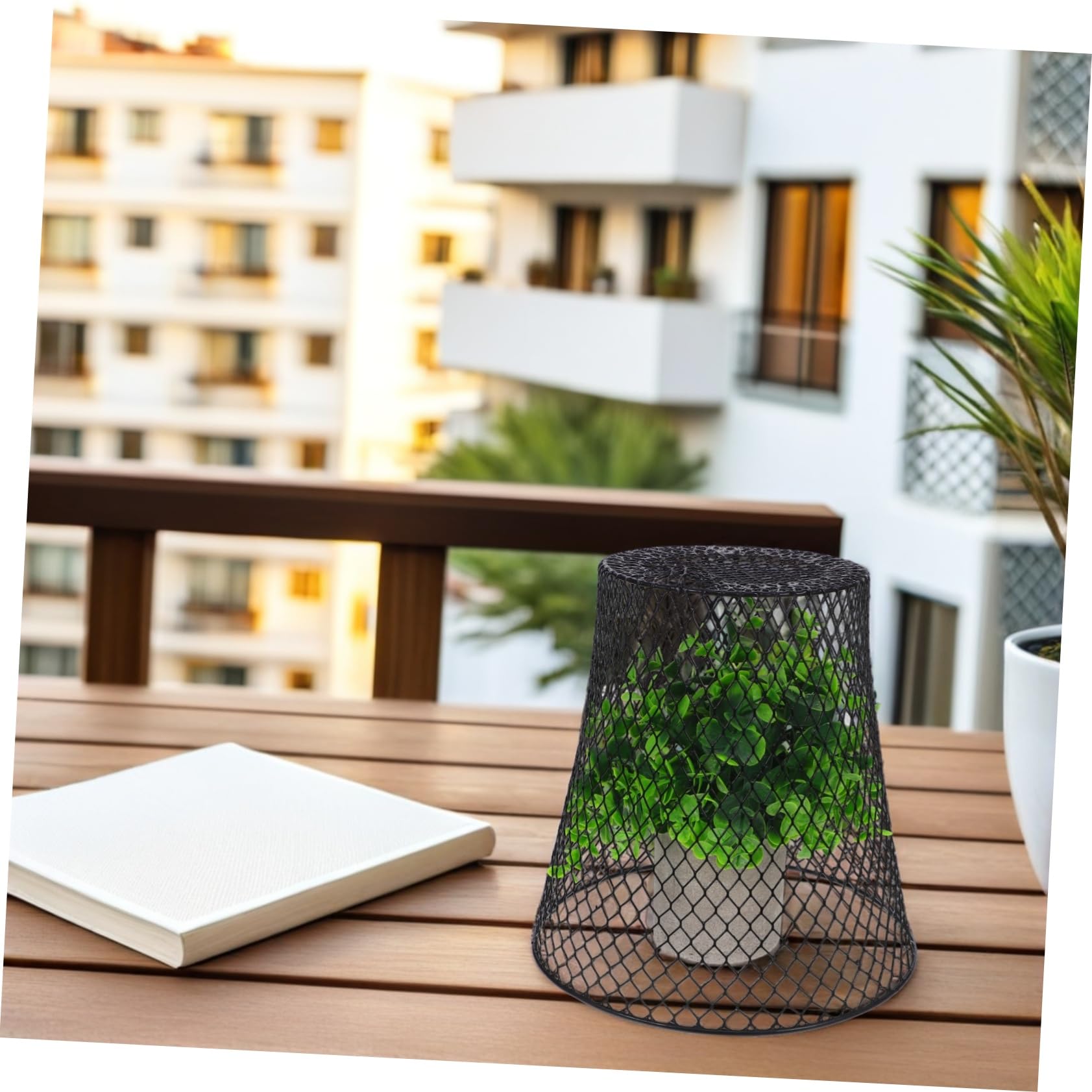 HEMOTON Cloches De Protection pour Plantes Cages Métalliques Robustes Fil De Fer pour Semis Et Légumes Utilisables Extérieur sur Balcon Petits Jardins