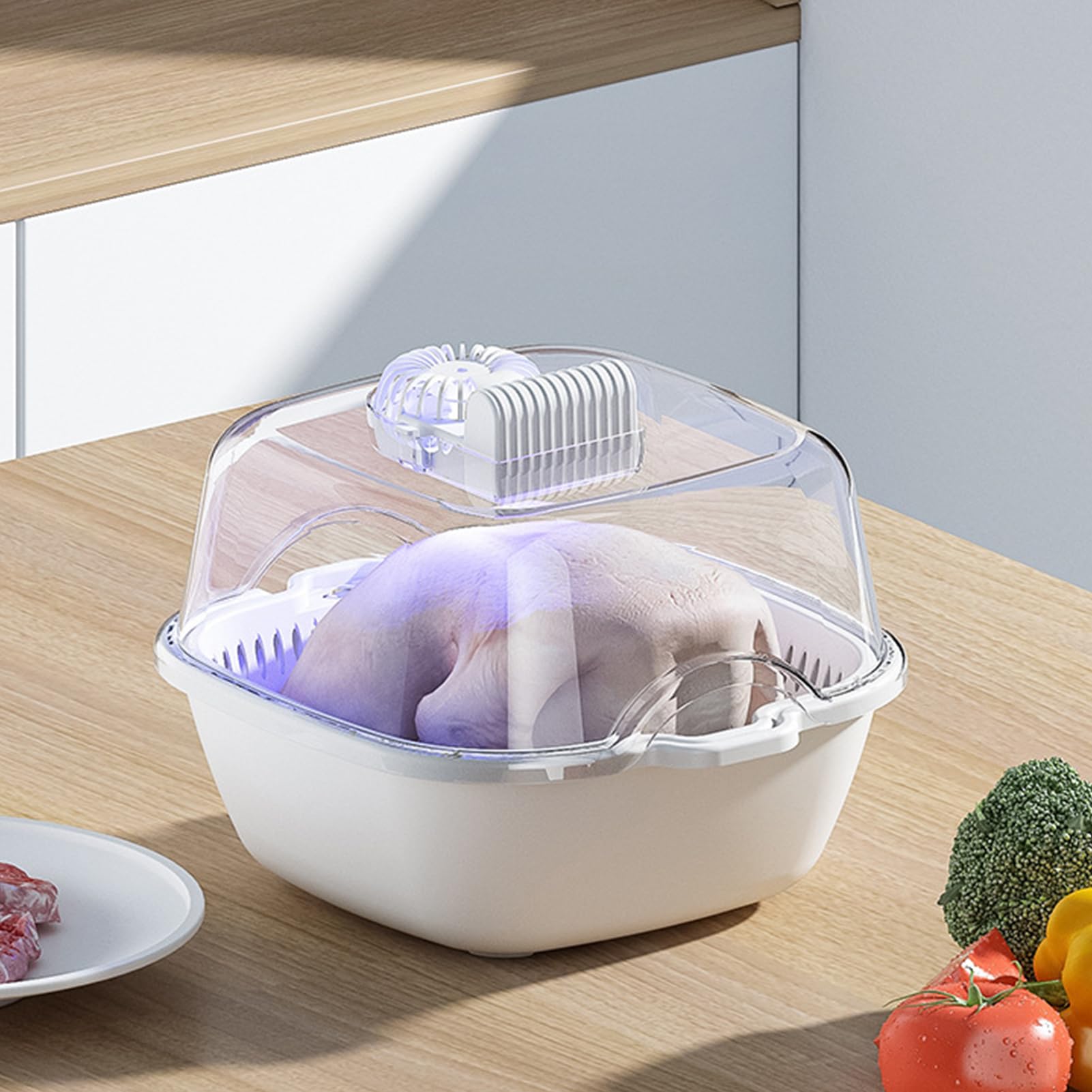 Macchina per scongelare la carne – Vassoio per scongelare , dispositivo di preparazione degli alimenti | Sbrinatore rapido per bistecche, strumento di scongelamento 4 in 1, piastra