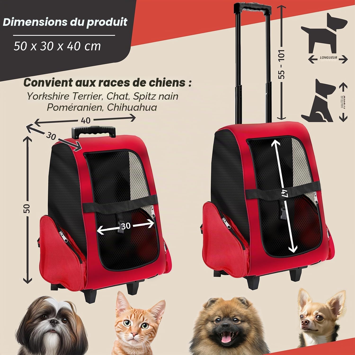 all Pets United® Trolley Chien Chat - Sac à Dos Transport 44x26x42 cm | Roues PU souples, dos renforcé, sangles intégrées - idéal train, avion, voiture - sans odeur de plastique
