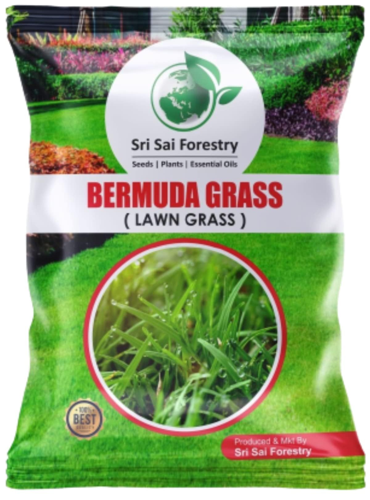 SRI SAI FORESTRY Bermuda Seeds for Home Lawn - 100 G - Garden Grass Seed (B0CT92PMHC) Amazon Price History, Amazon Price Tracker