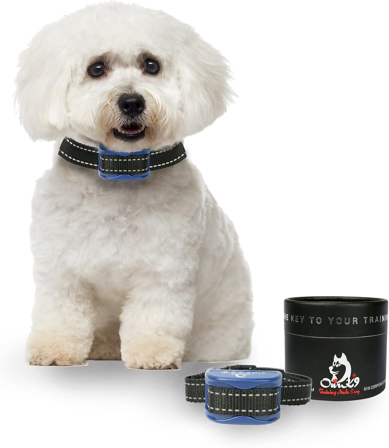 MINT YELLOW ROYAL Bark Collars by Our K9 Sound & Humane