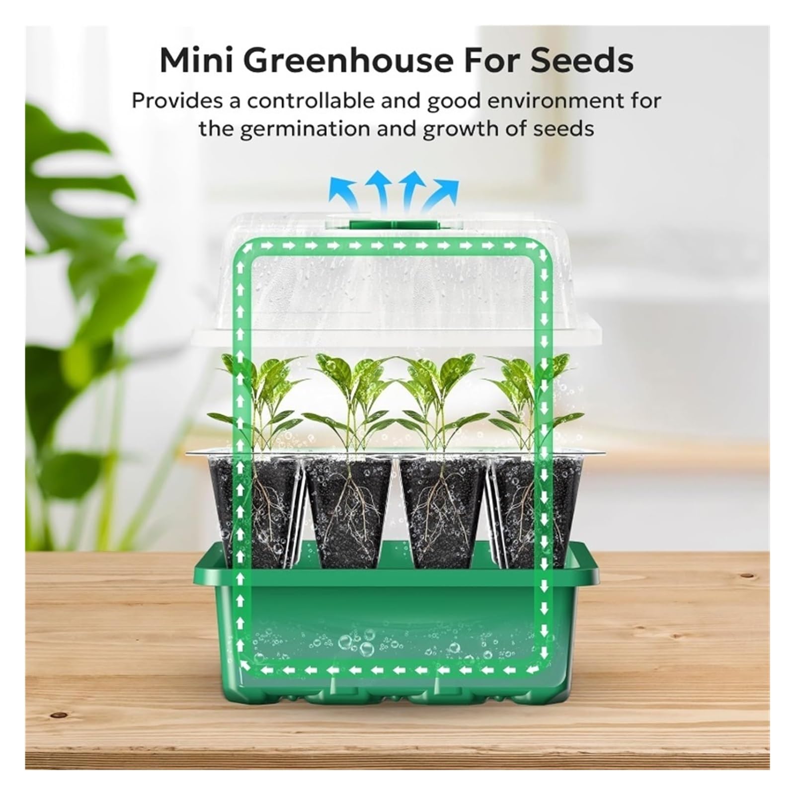 Bandejas Semilleros Kit de 10 bandejas for plántulas, kit de inicio de semillas, minipropagador, kit de cultivo de plantas con cúpulas con ventilación de humedad y base for iniciar semillas Invernader