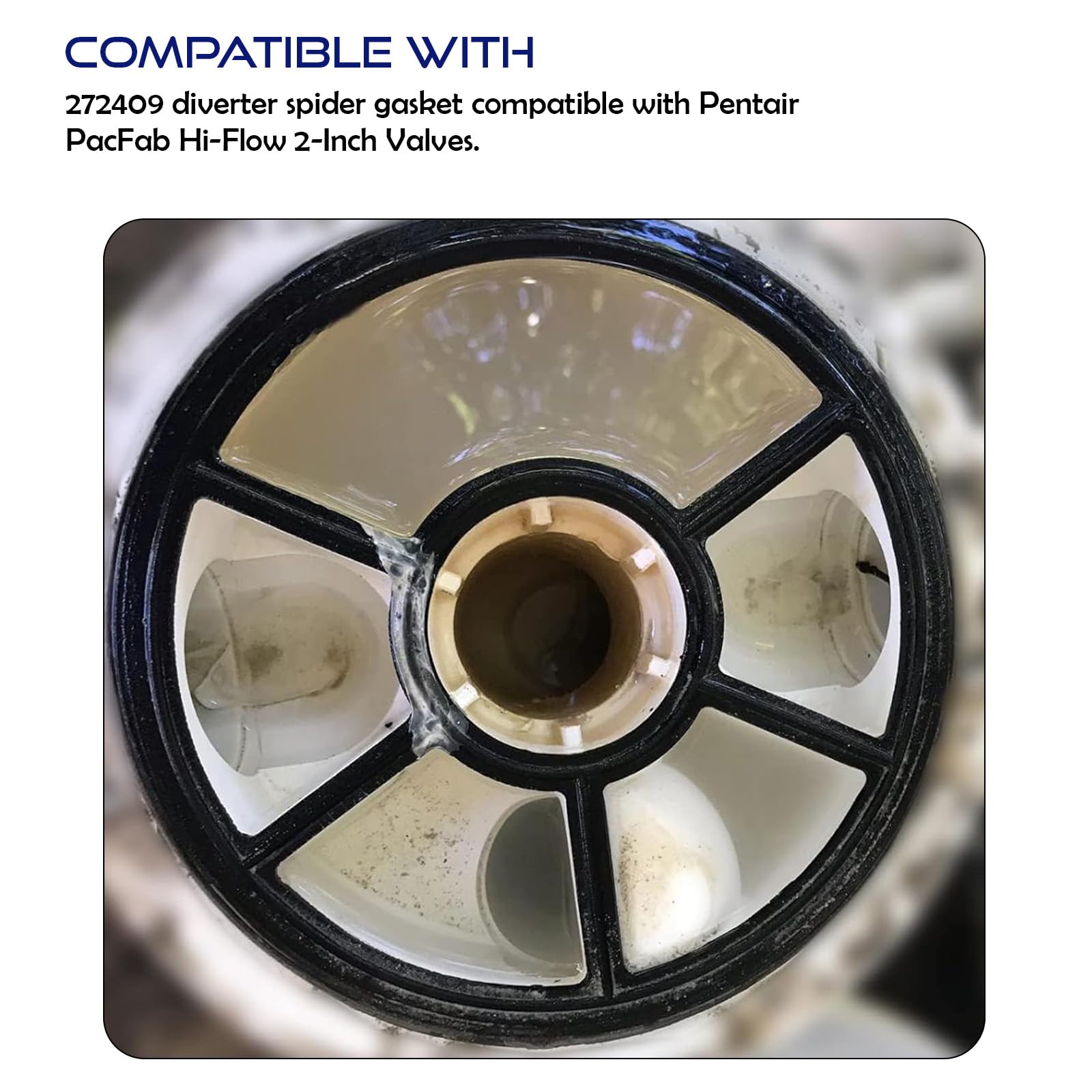 fixのビンディング Amazon.com: Dsyboko 272409 Diverter Spider Gasket for Pentair