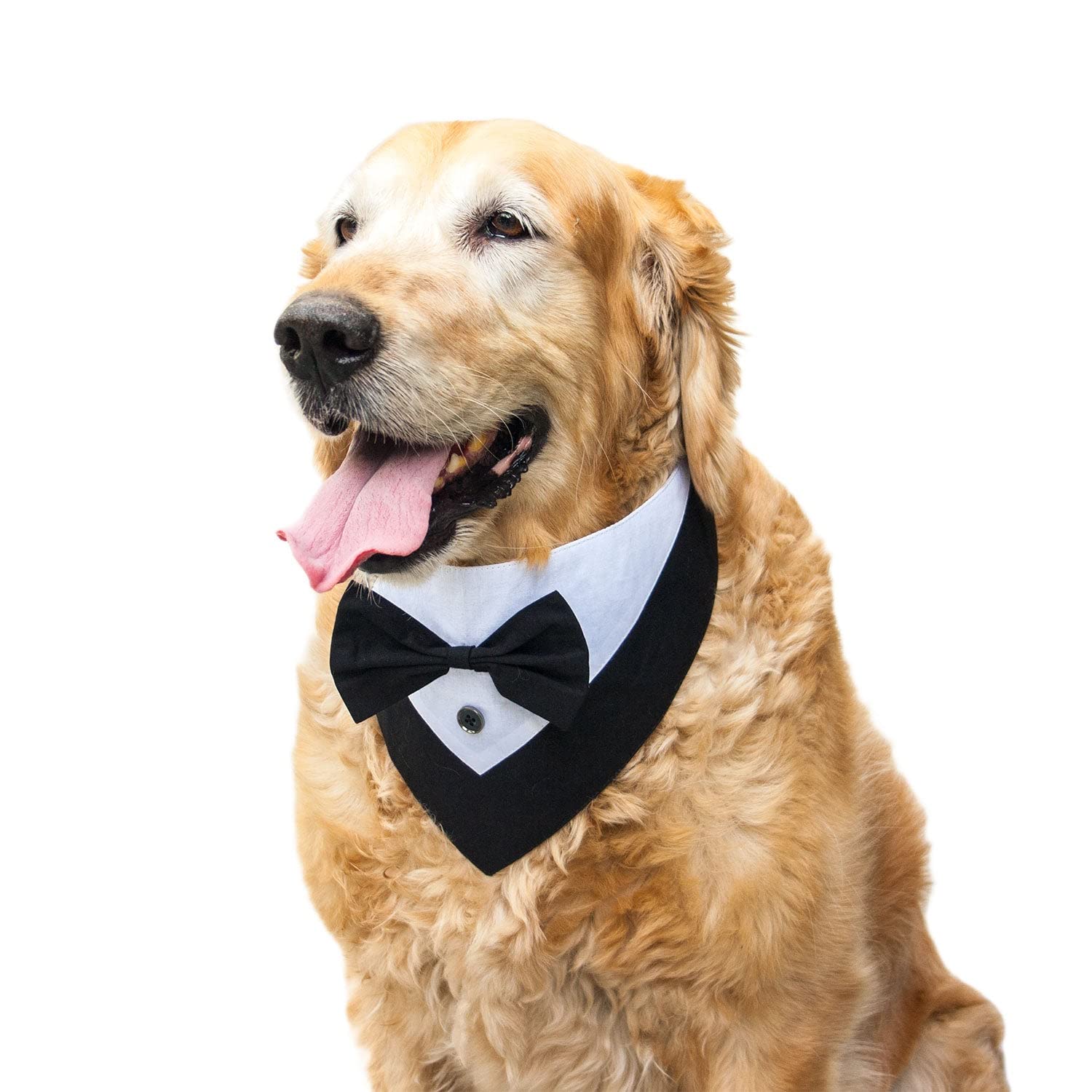 Ruse Party Reversible Tuxedo with Adjustable & Comfortable Snap Button Dog Bandana Scarf Gift for Pets (Black) Medium (B09ZRMNJQ9) Amazon Price History, Amazon Price Tracker