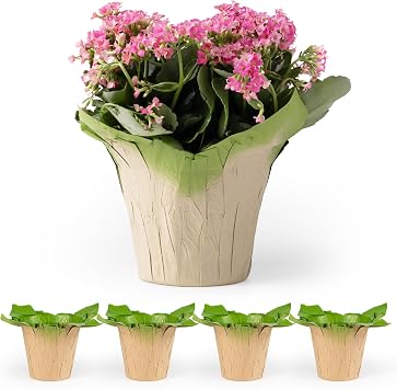 4.5 STD Plant Pot Covers, FSC Certified Recycled Kraft Paper, Decorative Plant Sleeve for House Plants, Reusable and Gift-Ready for Potted Flowers, Green, Pack of 5