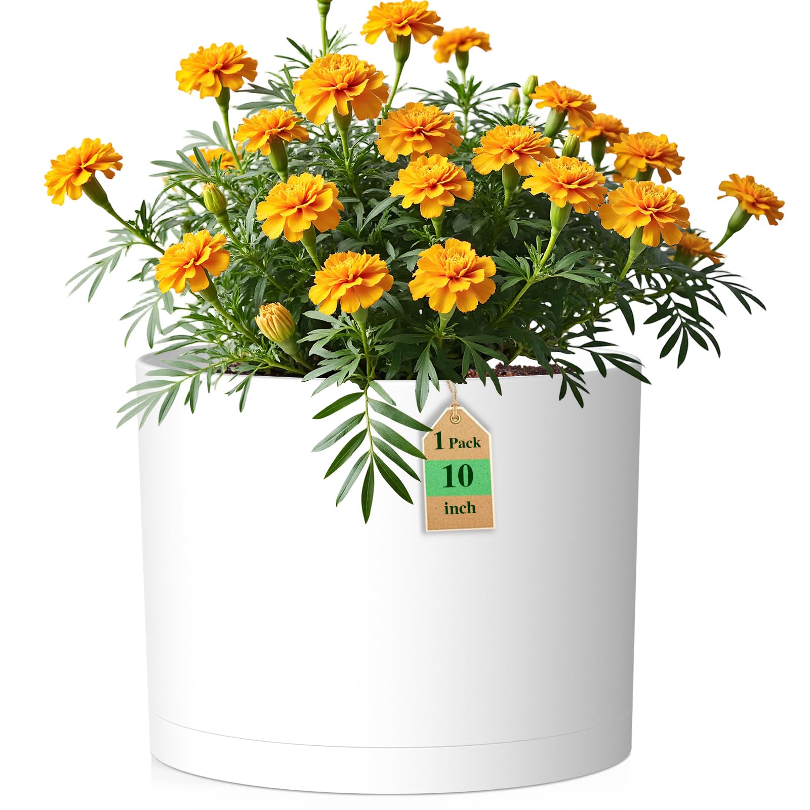 WSMKSZ 10 Inch Cylinder Plastic Pot