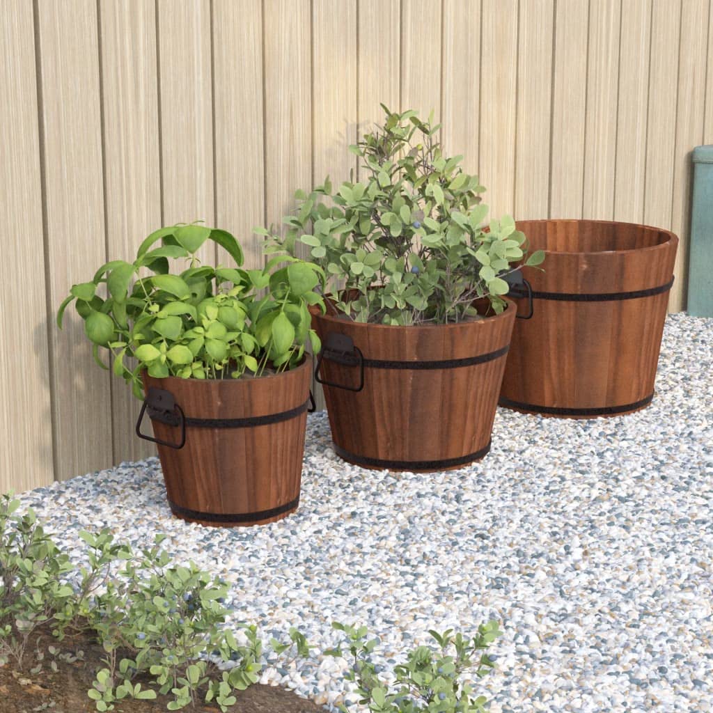 Seaux à plantes en bois de sapin massif : l'élégance naturelle de 3 jardinières robustes pour votre terrasse
