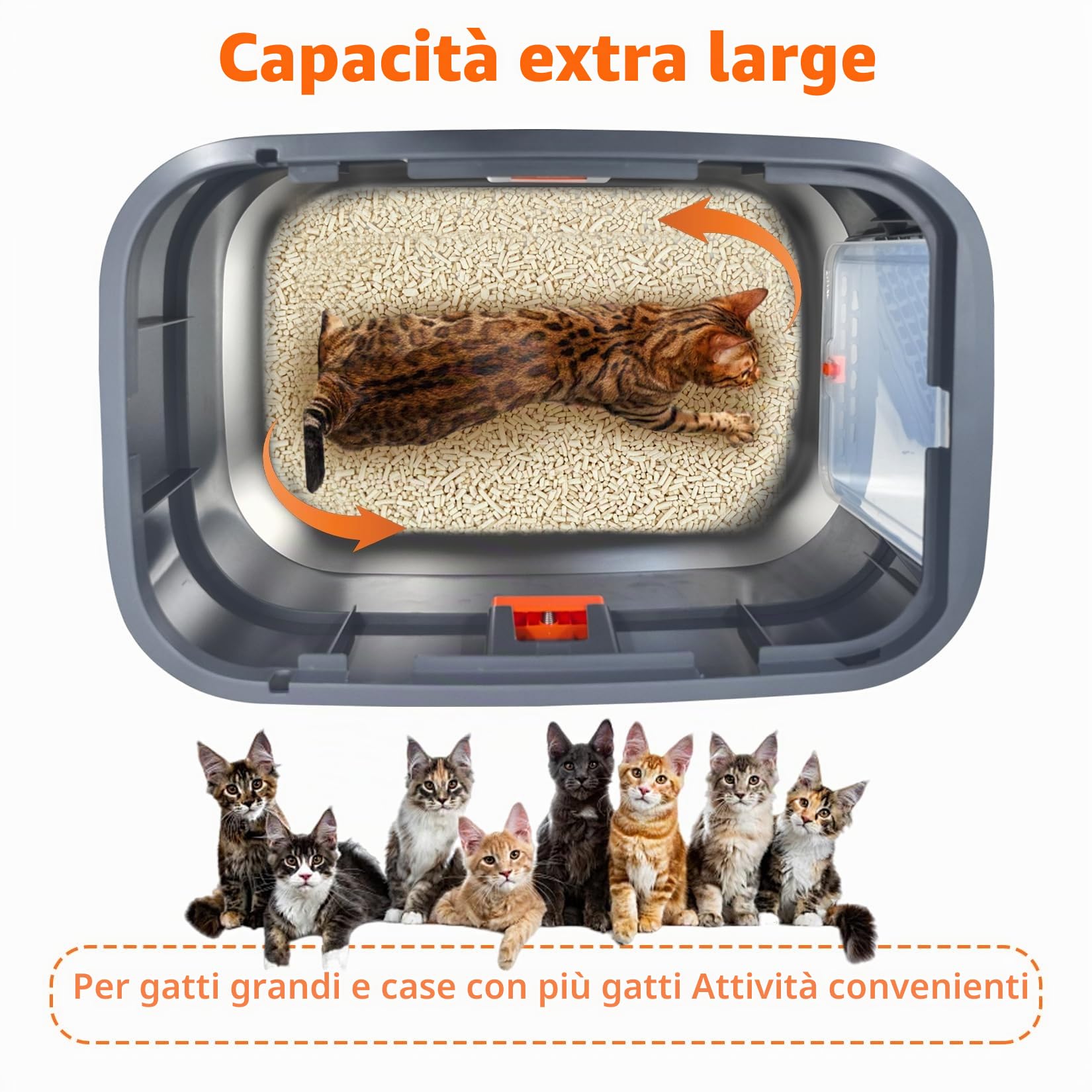 BingoPaw Acciaio Inox Lettiera per Gatti Chiusa Antiodore, Facile da Pulire | XXL Toilette per Gatti Aperto 3 in 1 per gatti di peso inferiore a 10 kg, con Paletta, Antiaderente