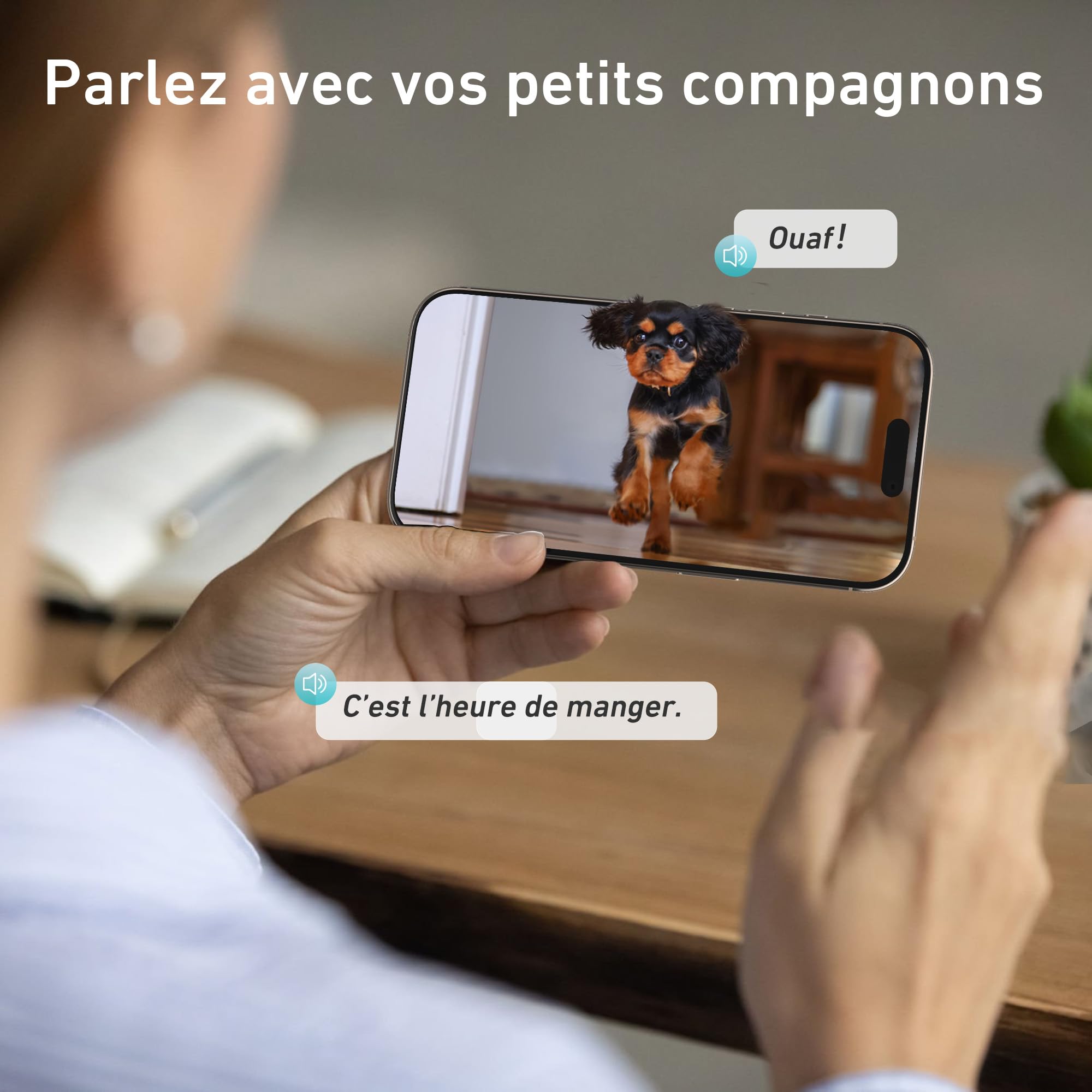 Nityers Distributeur Croquettes Chat Automatique avec Caméra, 5GHz WiFi, Vision Nocturne, Contrôle APP, Angle Caméra Réglable, Bol INOX Grand pour Chats Et Chiens