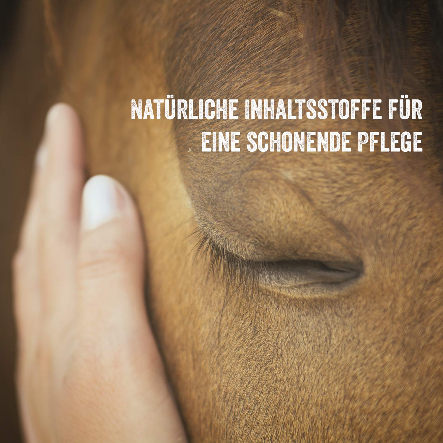 Martenbrown® Pilz Ex 500ml Lebermoos Extrakt für Bakterien und Pilzbefall bei Pferden, Eseln, Hunden und Anderen Tieren I Lebermoosextrakt auch gegen Milben und Pferdepilz