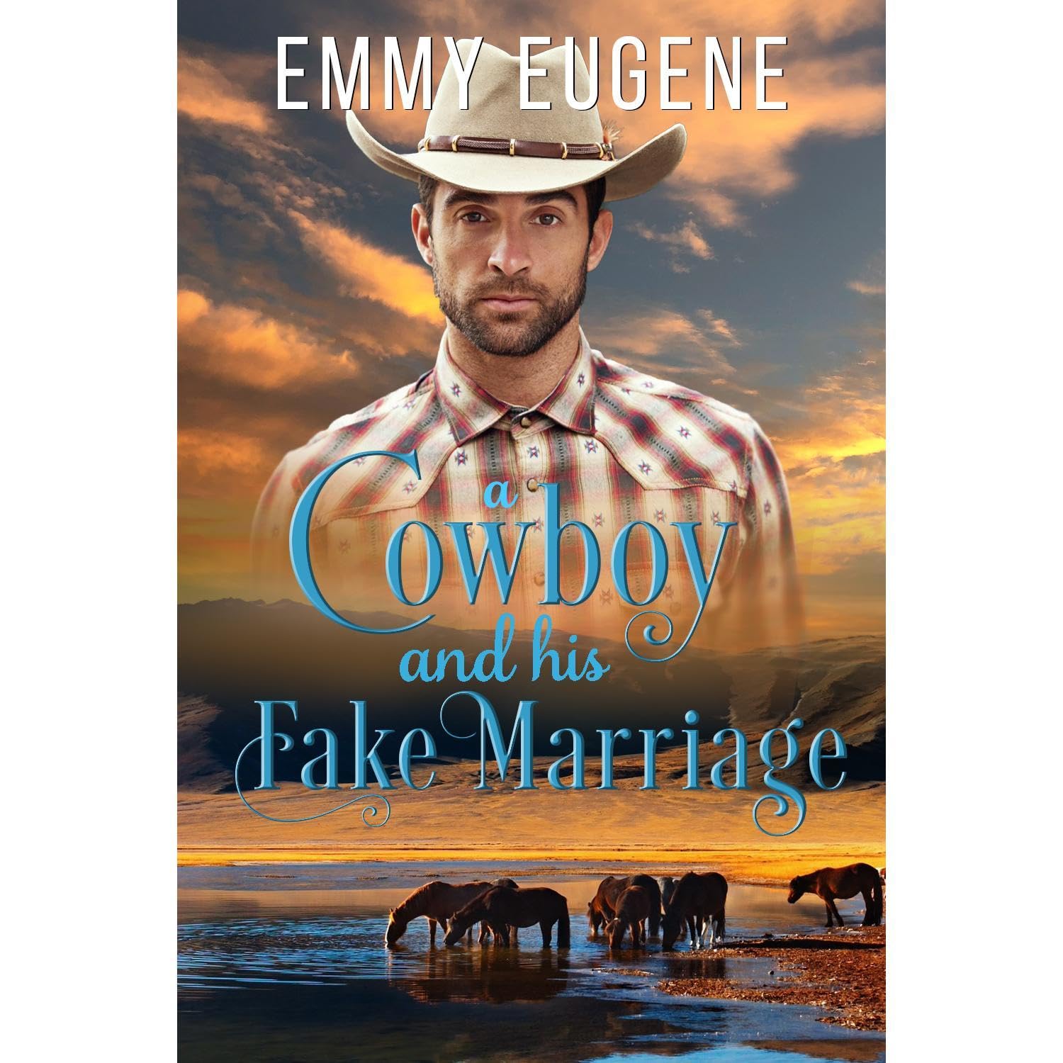 A Cowboy and his Fake Marriage