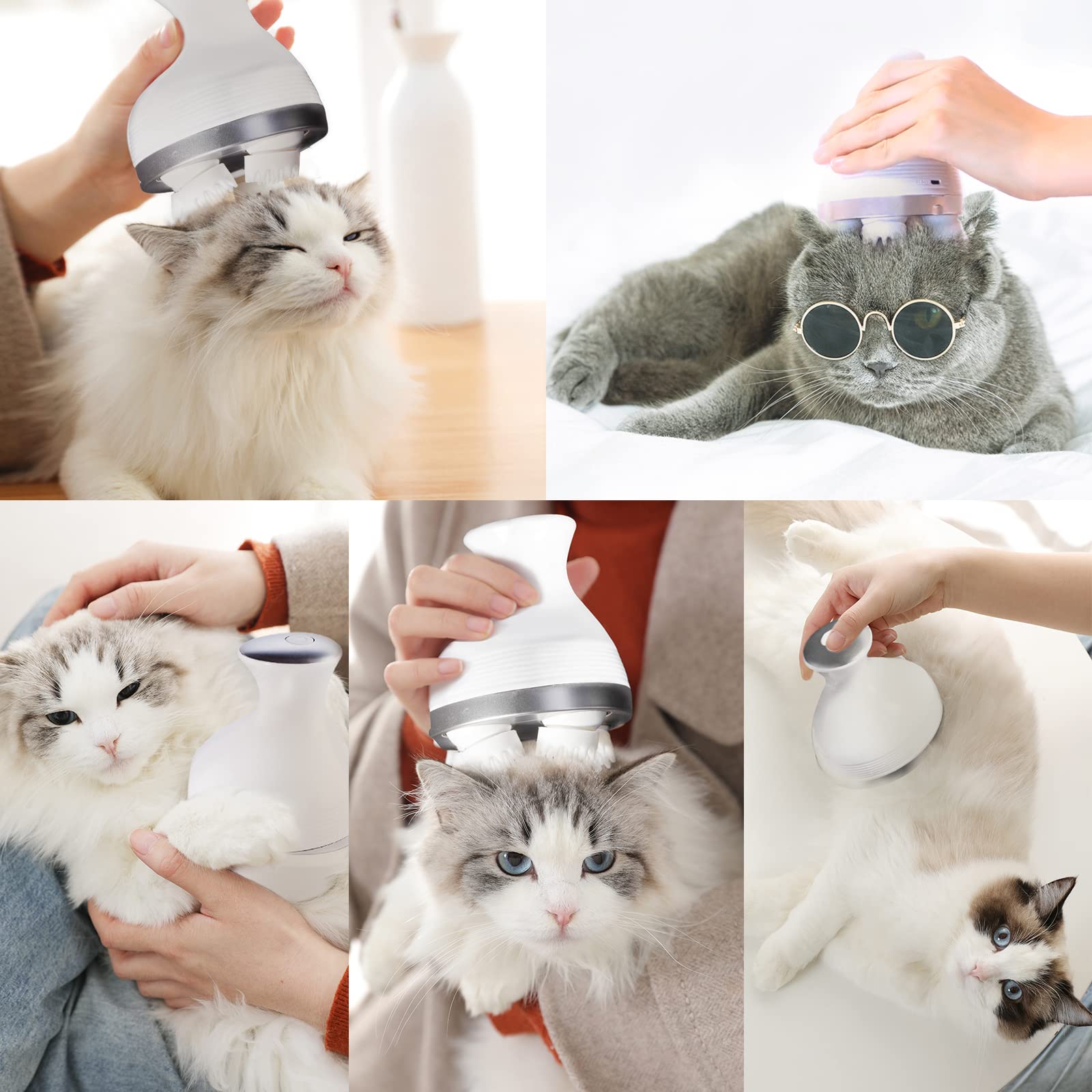 Massageapparaat Voor Katten En Honden