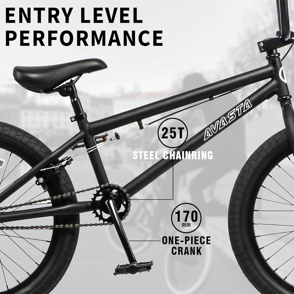AVASTA Bacchus BMX 20インチ ブラック AVASTA Bacchus BMX 20インチ ブラック