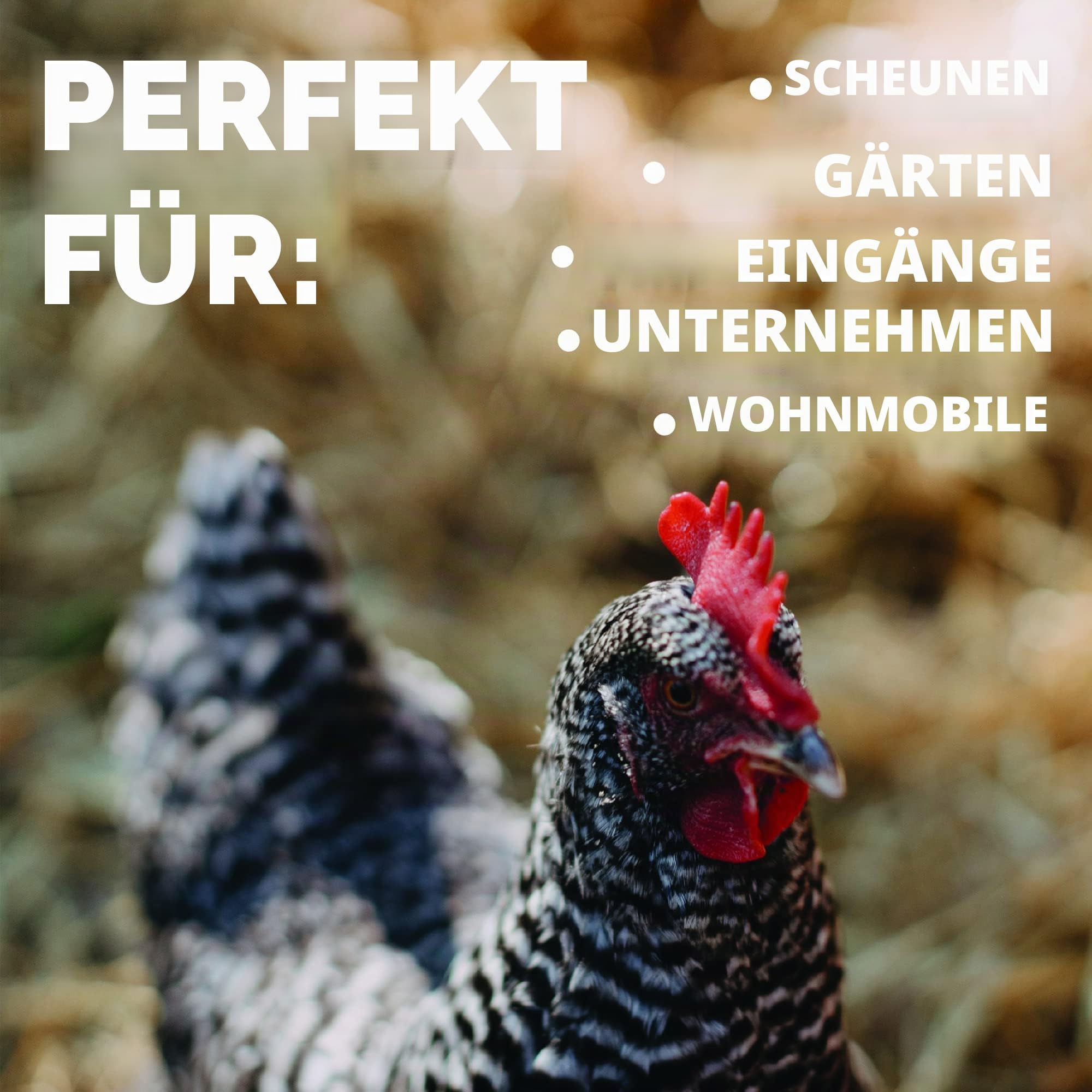 JobSite Extra Breiter Stiefelreiniger - Keine Halterung erforderlich - Witterungsbeständig, langlebig Dokument