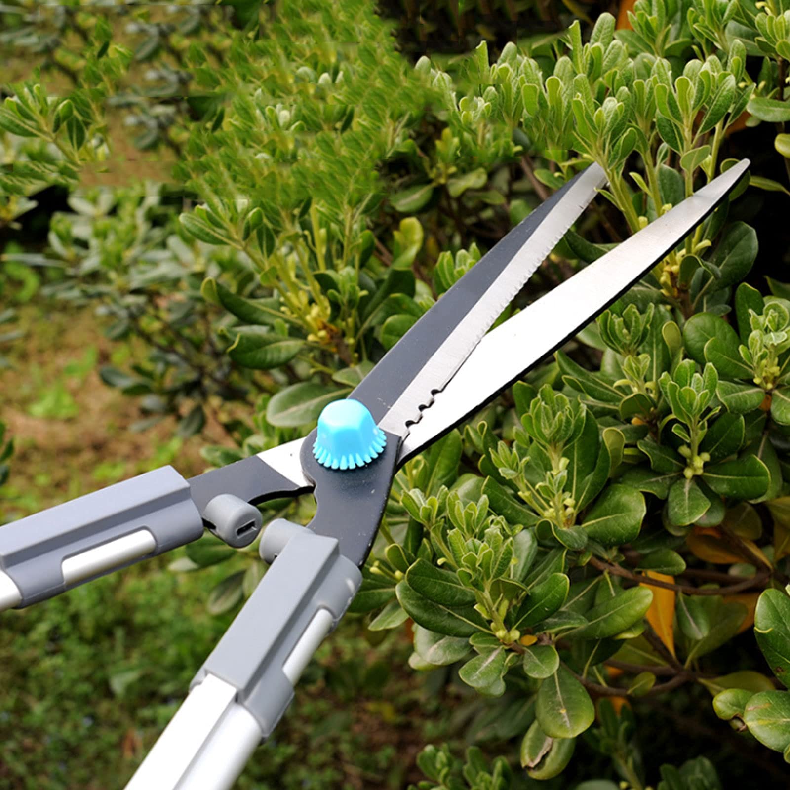 Tijeras para Setos De Jardín Herramientas De Jardinería, Cuchillas Afiladas De Acero Al Carbono Tijeras para Setos con Mango Ergonómico Y Cómodo para Recortar Bordes Boj Y,