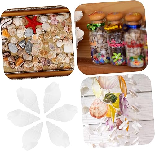 Miniatura 7 de Inicio Accesorios Adornos para decoración de flores 100 piezas Decoración de mesa de boda Conchas marinas a granel Conchas marinas naturales