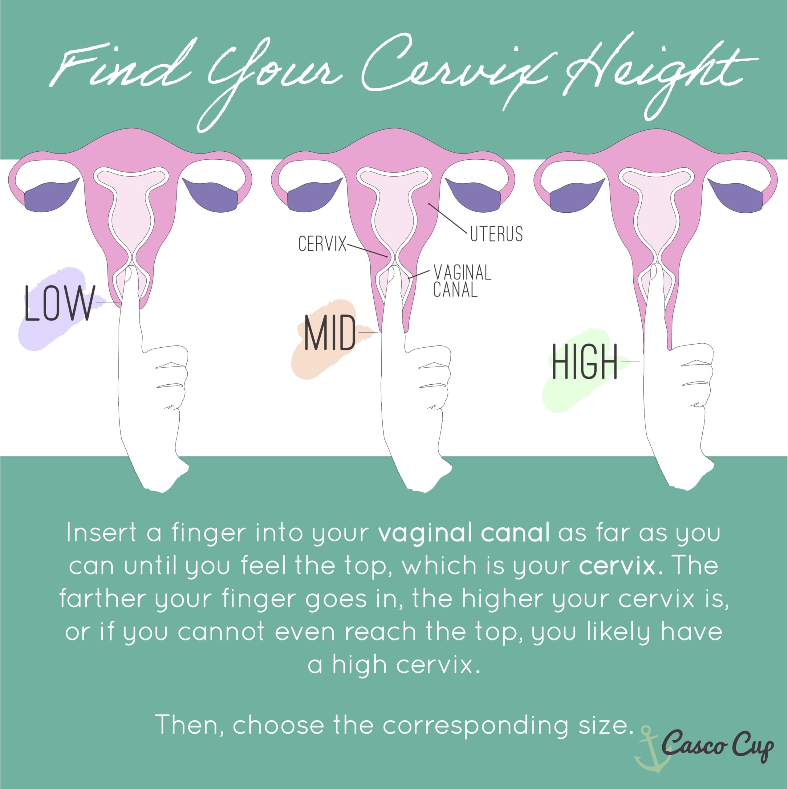 Casco - Copa menstrual y funda - Copa menstrual de silicona de grado médico fabricada en Maine USA, copa menstrual reutilizable. (Encuentra tu ajuste, paquete de 4)