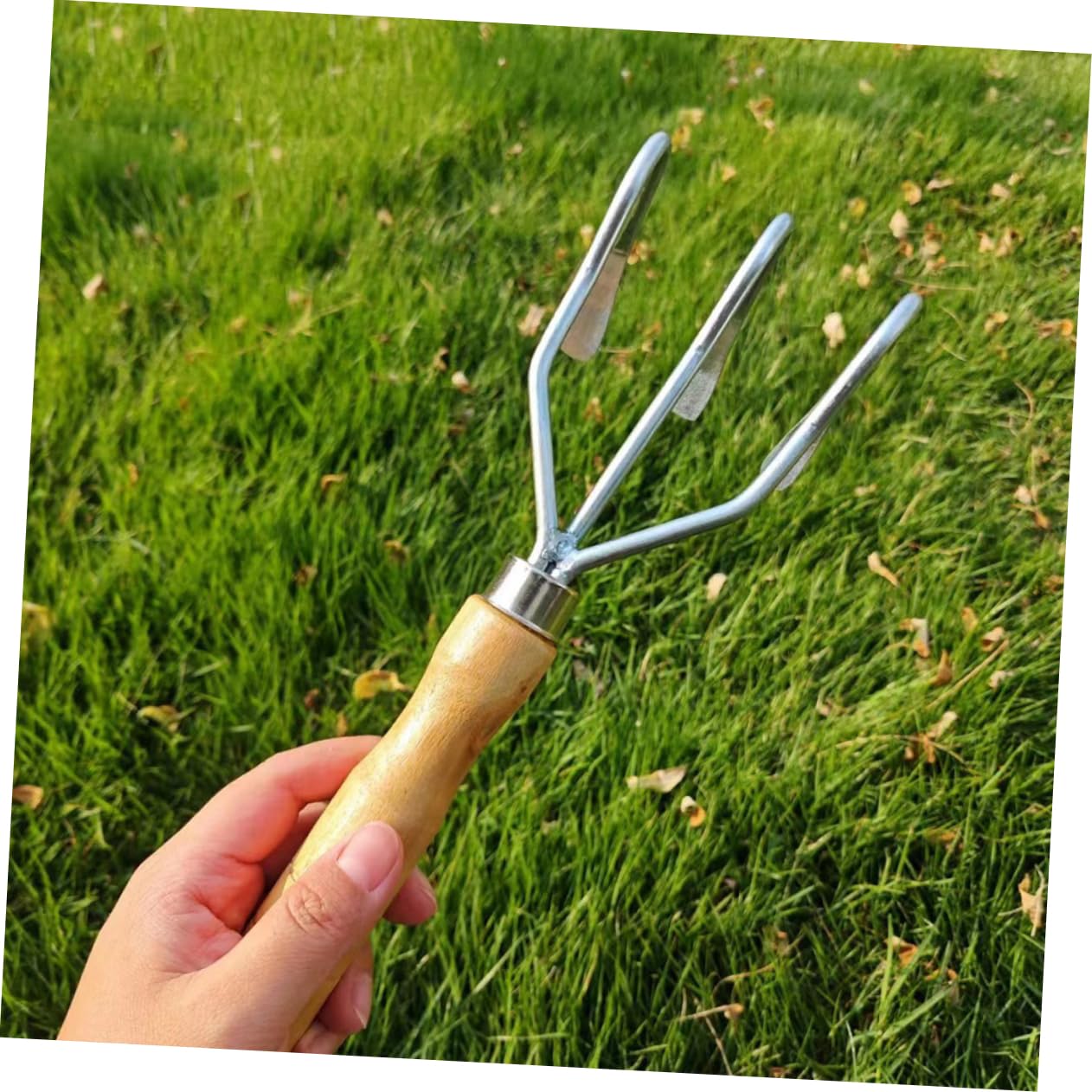 ibasenice 2stücke Handrechen-gartenwerkzeug Aus Edelstahl Mit Holzgriff Für Muschelgraben Gartenrechengriff Zum Graben Von Muscheln Und Meeresfrüchten Zuverlässiges Werkzeug Für