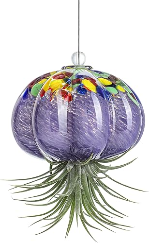 H&D HYALINE & DORA Macetero de cristal soplado a mano colgante, medusas, decoración de terrario para jardín, porche, ventana, alféizar (sin plantas)