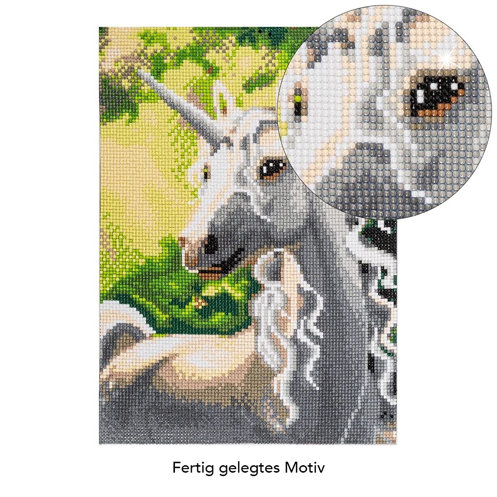 Ideen Mit Herz 5D Diamond Painting Set | Diamond Painting Set | Motivo: 35 X 25 Cm | Tela: 30 X 40 Cm | Pietre Rotonde | Accessori | Diverse Immagini A Scelta (ninfee