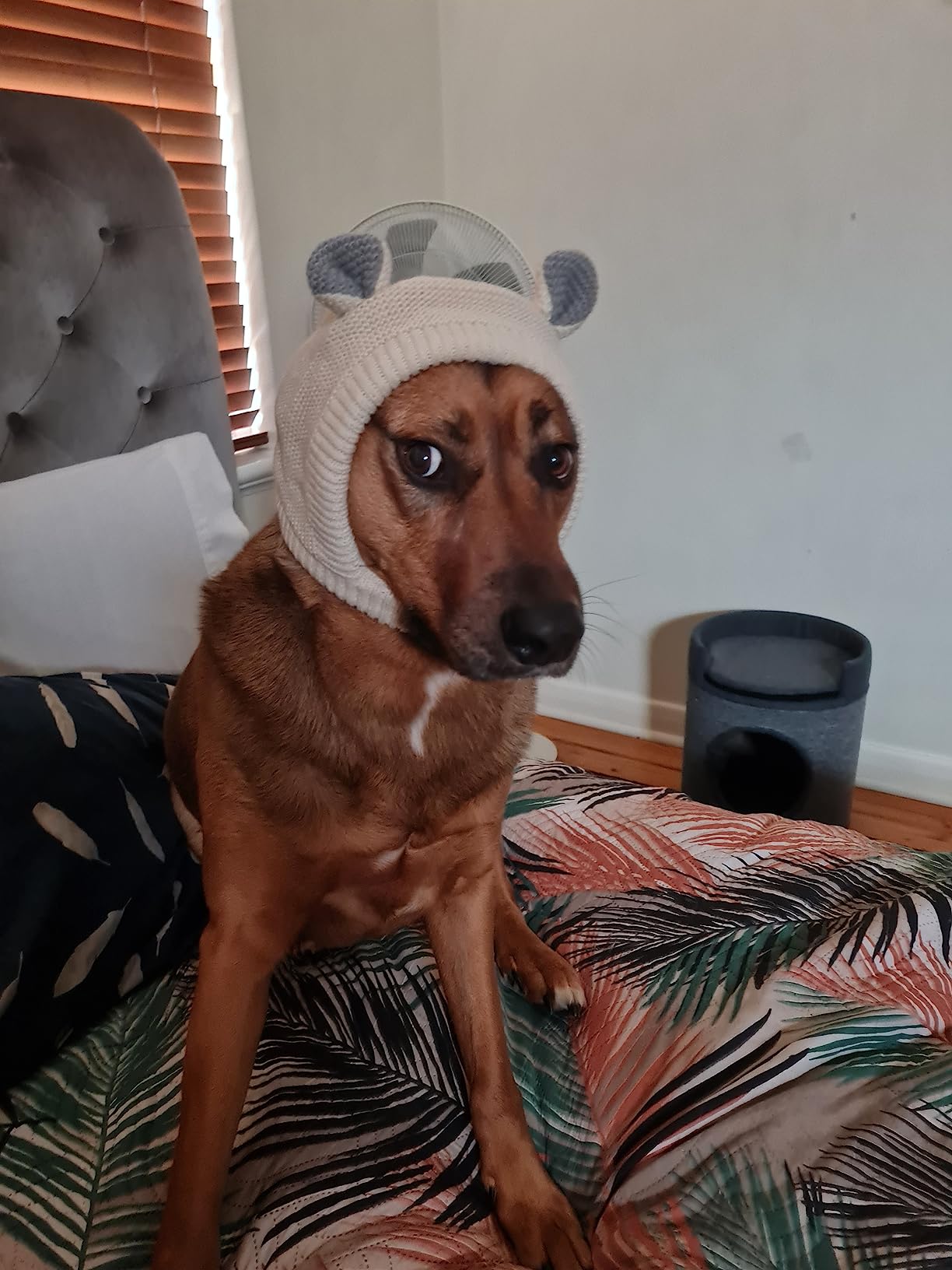 YolentQuiet Ears for Dogs Anxiety Barking Dog Ear Covers Muffs Snood