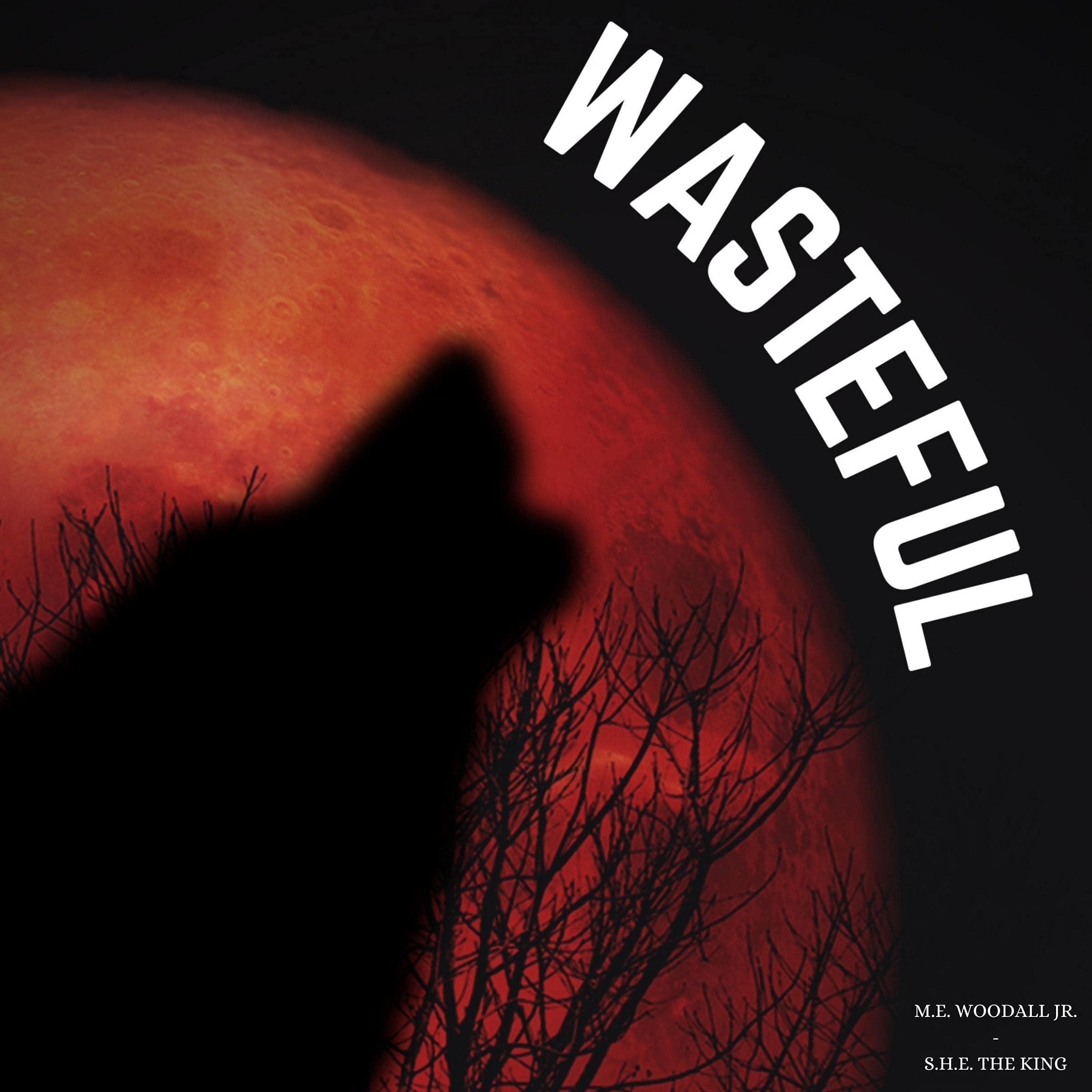 Cover art for Wasteful
