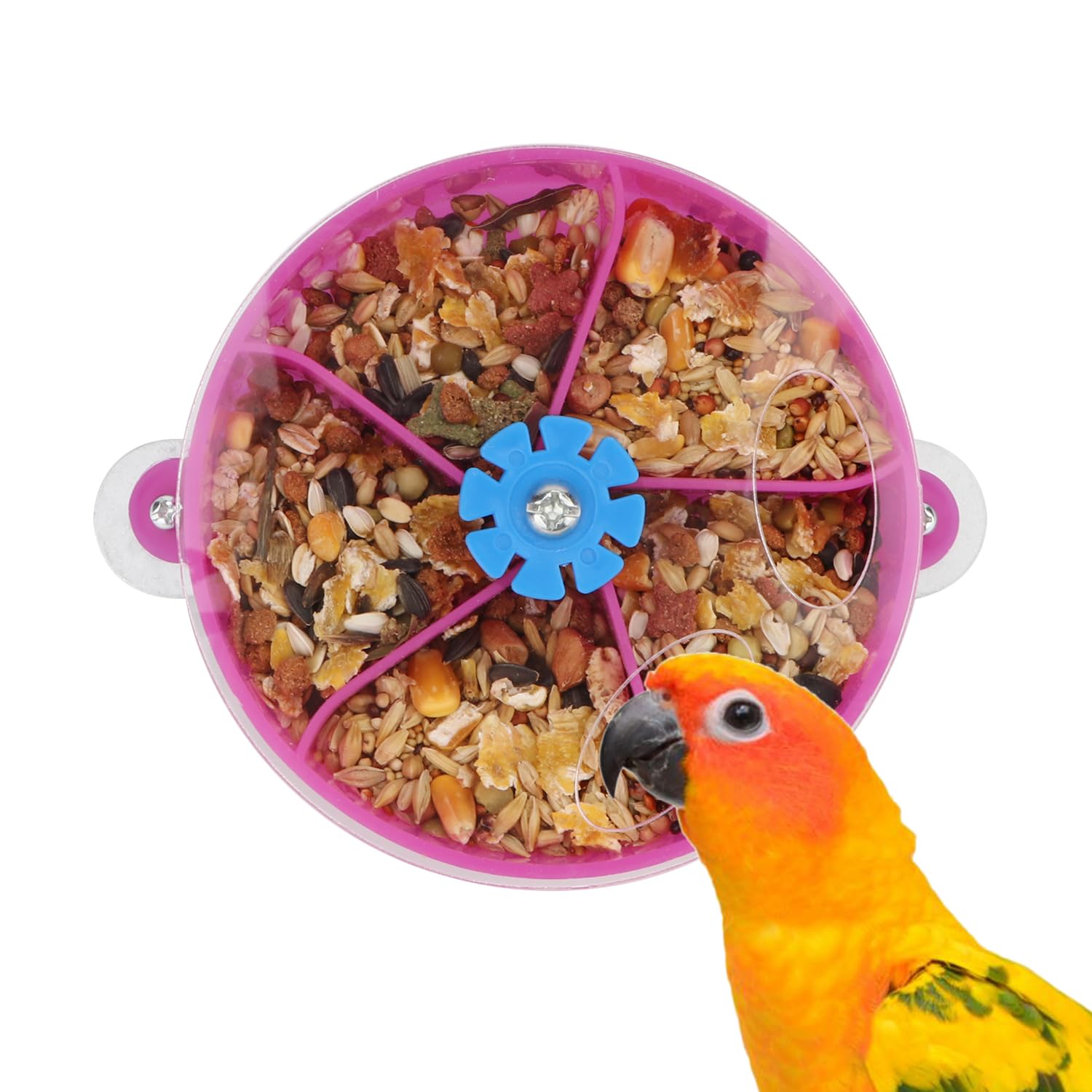 Hypeety Bird Parrot Foraging Toy Creative Seed Food Ball Rotate Wheel Intelligence Growth Training Toy for Parrot Parakeet Cockatiel Conure Lovebird