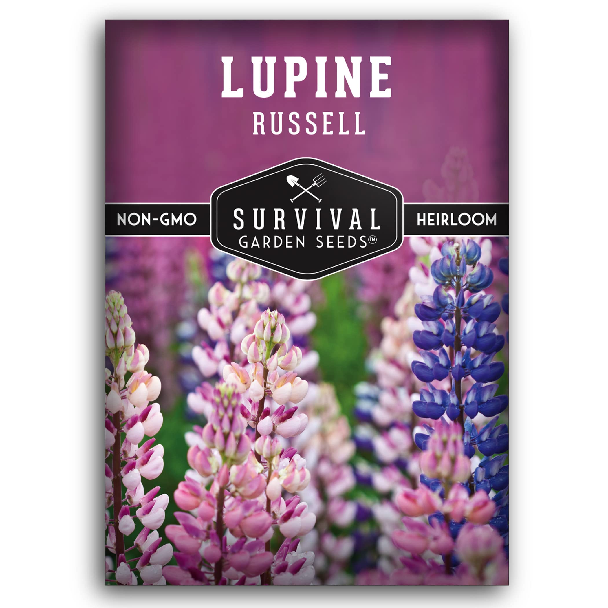 Russell Lupine Seed for Planting - Packet with Instructions to Plant and Grow Wildflowers Outdoors in Your Home Vegetable or Flower Garden - Non-GMO Heirloom Variety