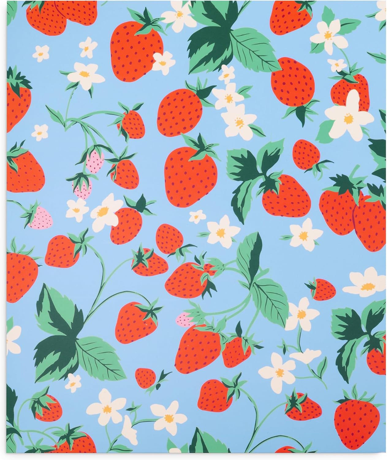 ban.do Set of 2 Pocket Folder, Strawberry Fields image 3