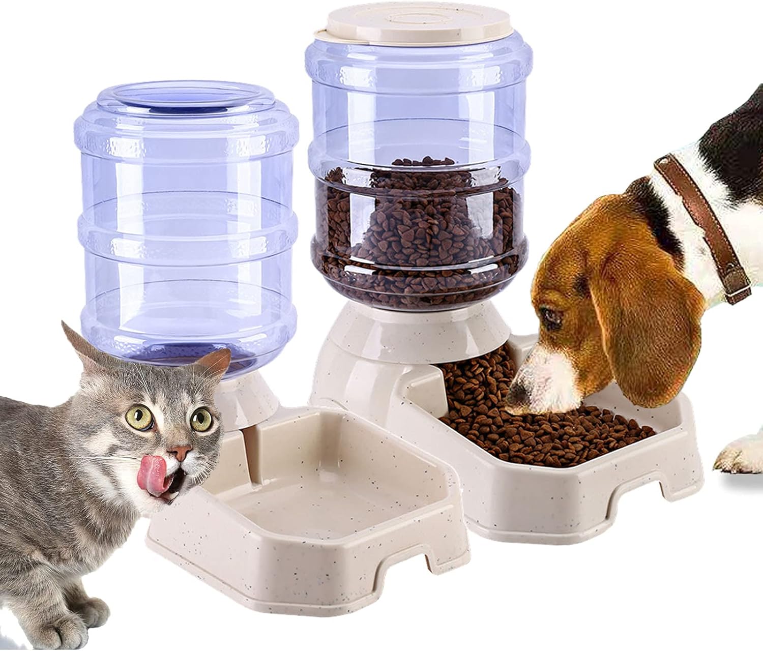 self feeding for cats