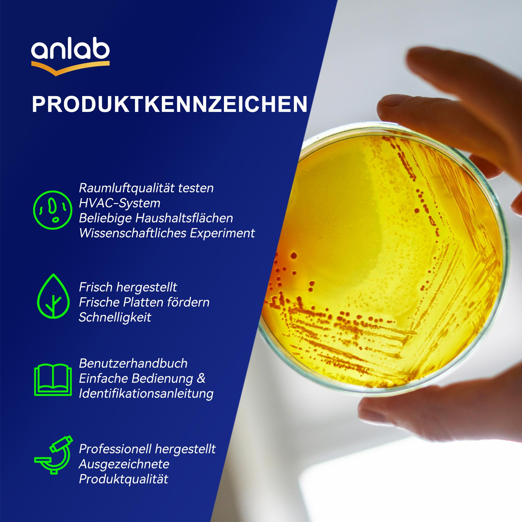 Nutrient Agar Petri Dishes Science Project Kit | Wstępnie nalane talerze agarowe i waciki bawełniane do eksperymentów naukowych, zestaw do nauki o bakteriach, szczelny oddzielnie (30)