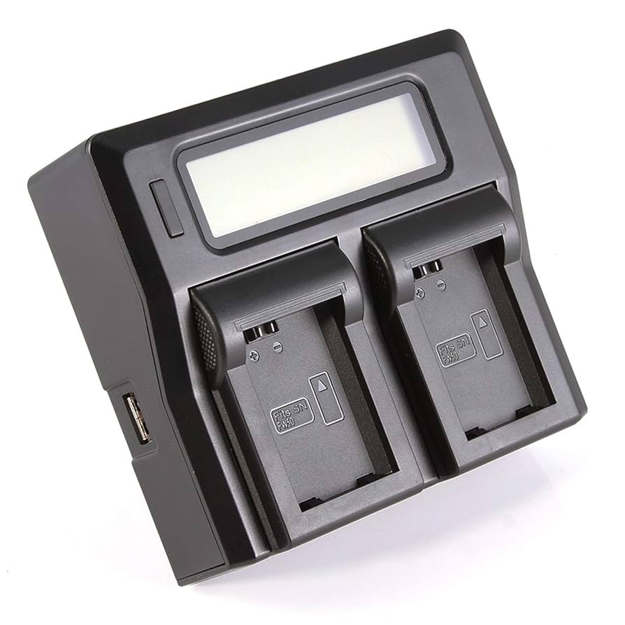 Amazon.com : LCD Dual Fast Battery Charger for Sony Alpha 7s