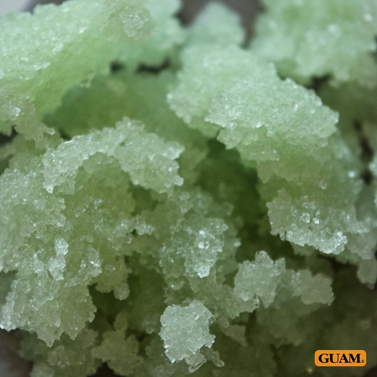Guam, Algenscrub, Aromatherapeutische Scrub Massage, Fördert die Zellregeneration, mit ätherischen Ölen, Made in Italy, 700 g Packung