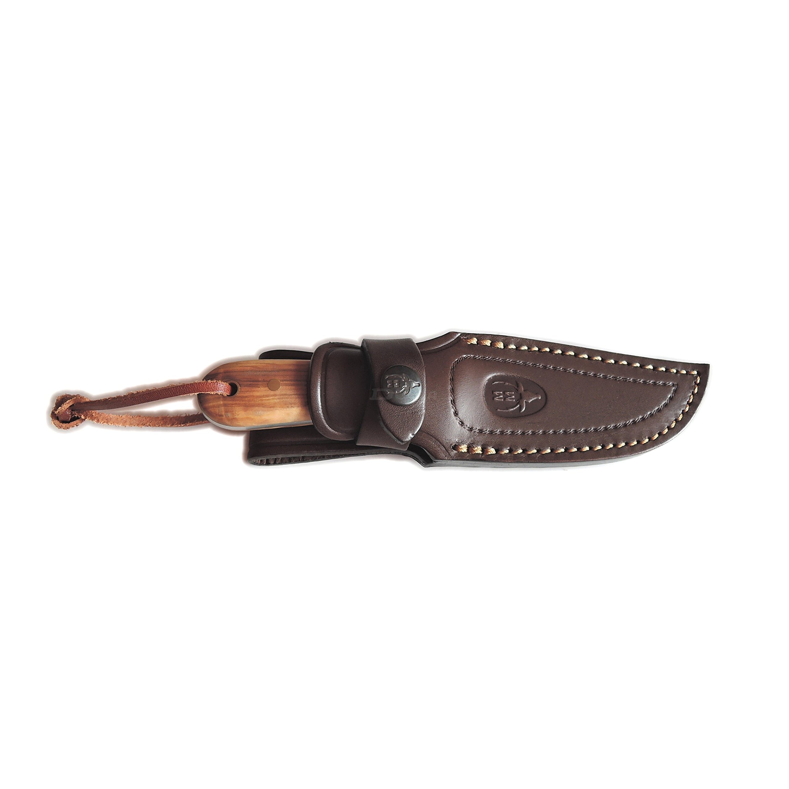 Coltello da Caccia Muela Bison Manici in Legno d'oliva, Integrale, la Dimensione Totale di 18 cm + Carta Regalo Multiuso