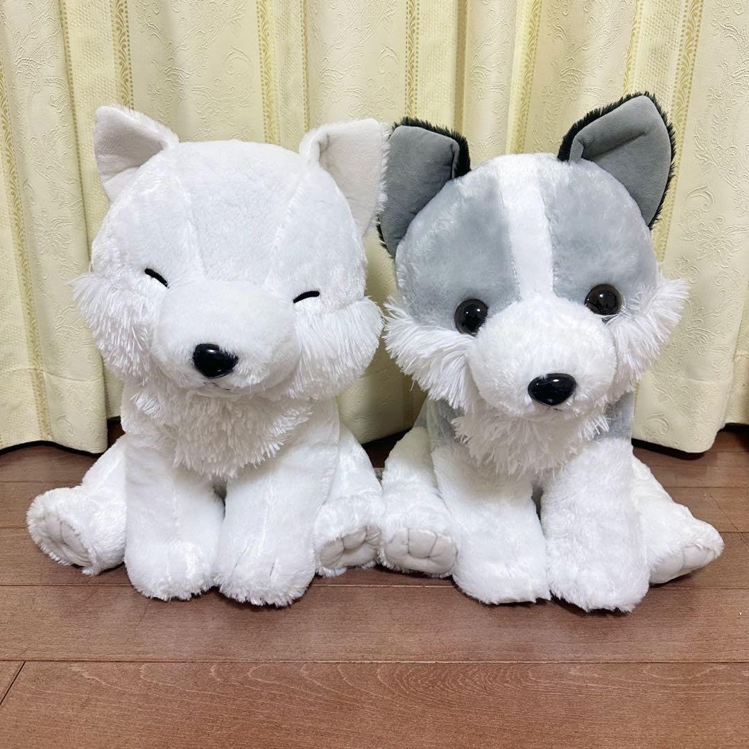 Amazon.co.jp: もふっとオオカミ ごきげん BIG ほっきょくん シルヴァ 