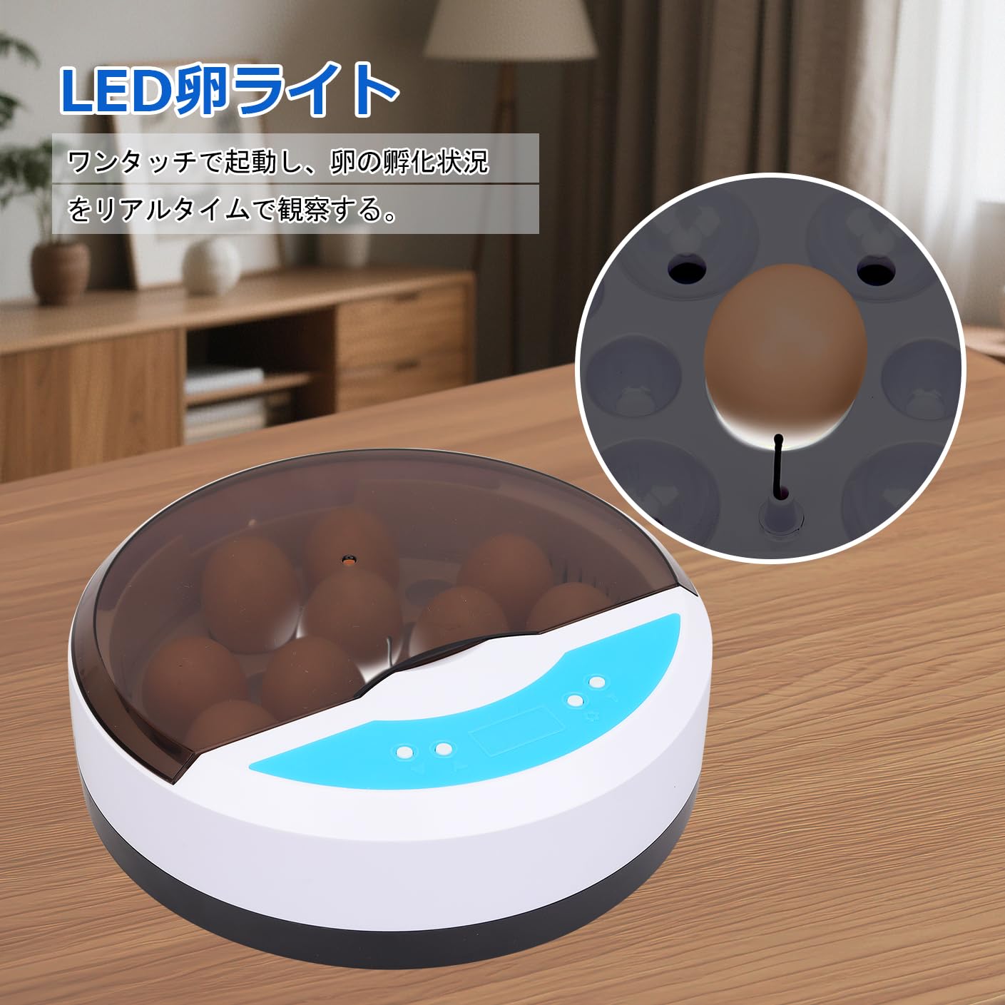 Amazon.co.jp: 自動孵卵器 インキュベーター 入卵9個 鳥類専用孵卵器