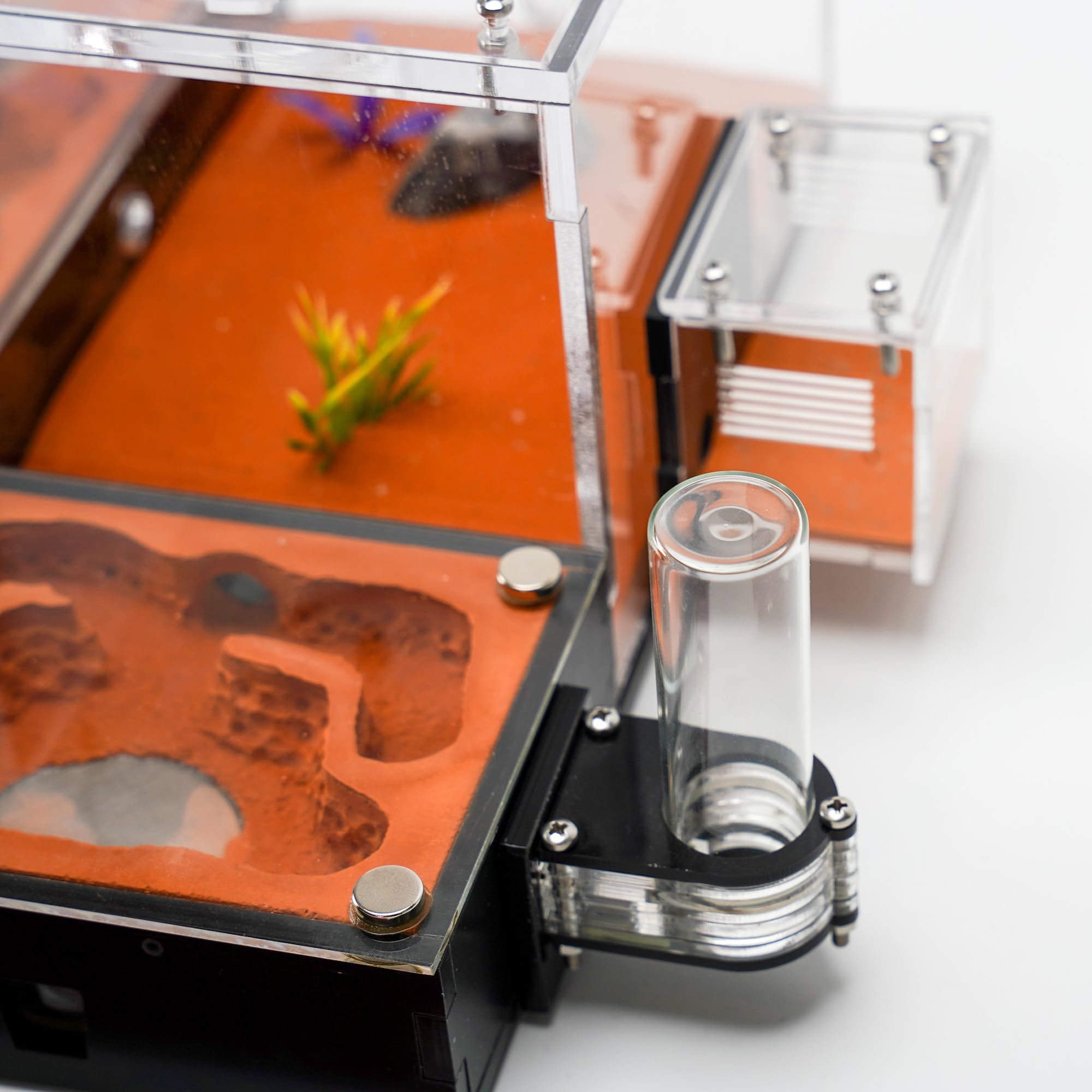 Formicaia ecologica modulare con coperture magnetiche in vetro, controllo umidità, ventilazione e porte di espansione, perfetto per gli appassionati di formiche (27,0 x 25,0 x 13,0 cm)