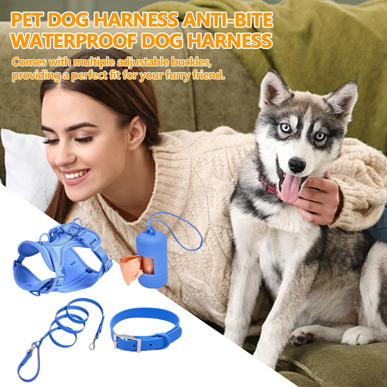 Juego de arnés para perros pequeños, arnés para perros medianos – Arnés | para mascotas, collar y correa en el set – Juego de correa «Step in No Pull» para mascotas y cachorros con Kotbeu