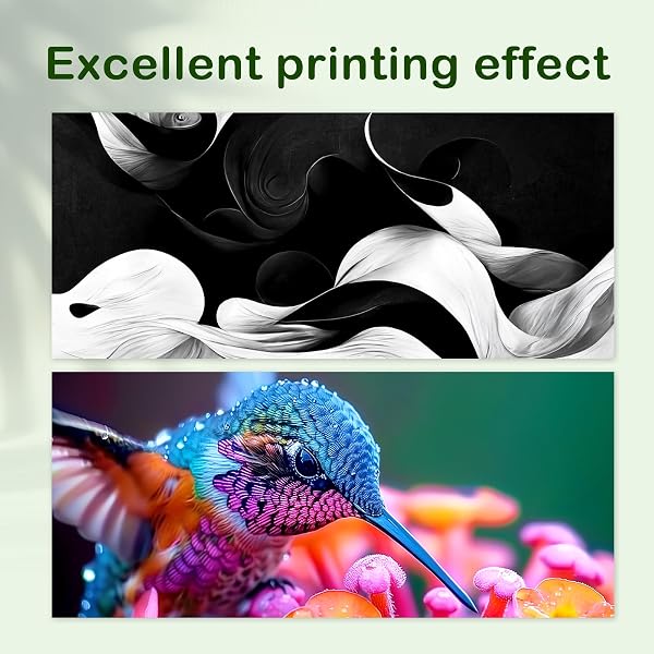 TODOINK 305XL Compatibile con Cartucce HP 305 Nero e Colore con HP DeskJet 2820e 2720e 2720 2710e 2710 DeskJet Plus 4130 4120 4110 Envy 6020e 6022 6022e 6030 6030e Envy Plus 6430e Colore Nero - 4